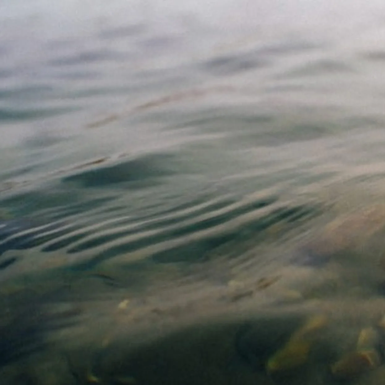 &quot;All relative life without the conscious basis of Being is like a ship without a rudder ever at the mercy of the tossing sea. It is like a dry leaf on the ground left to the mercy of the wind drifting aimlessly in any direction the wind takes it