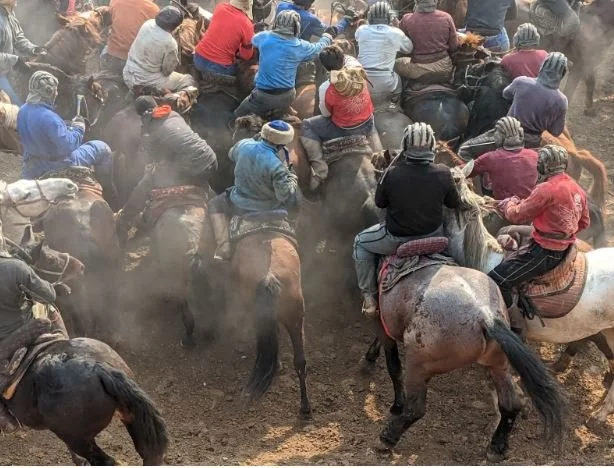 Kok Baru - Goat Carcass ‘polo’