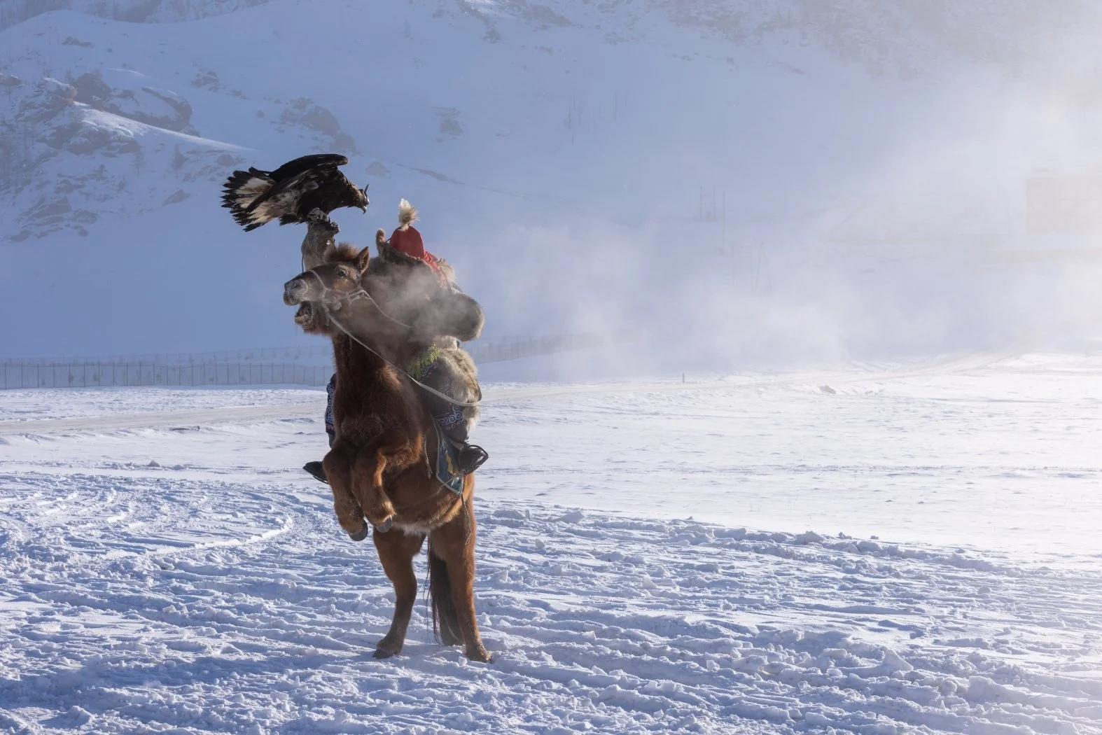 Kyrgyz Eagle Hunter in winter, Kyrgyzstan