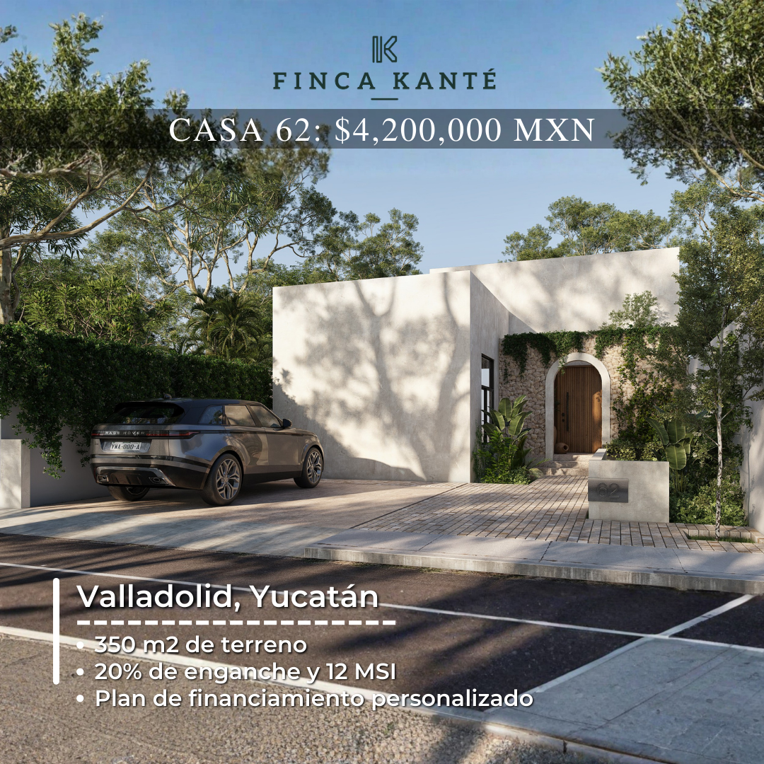casa 62.png