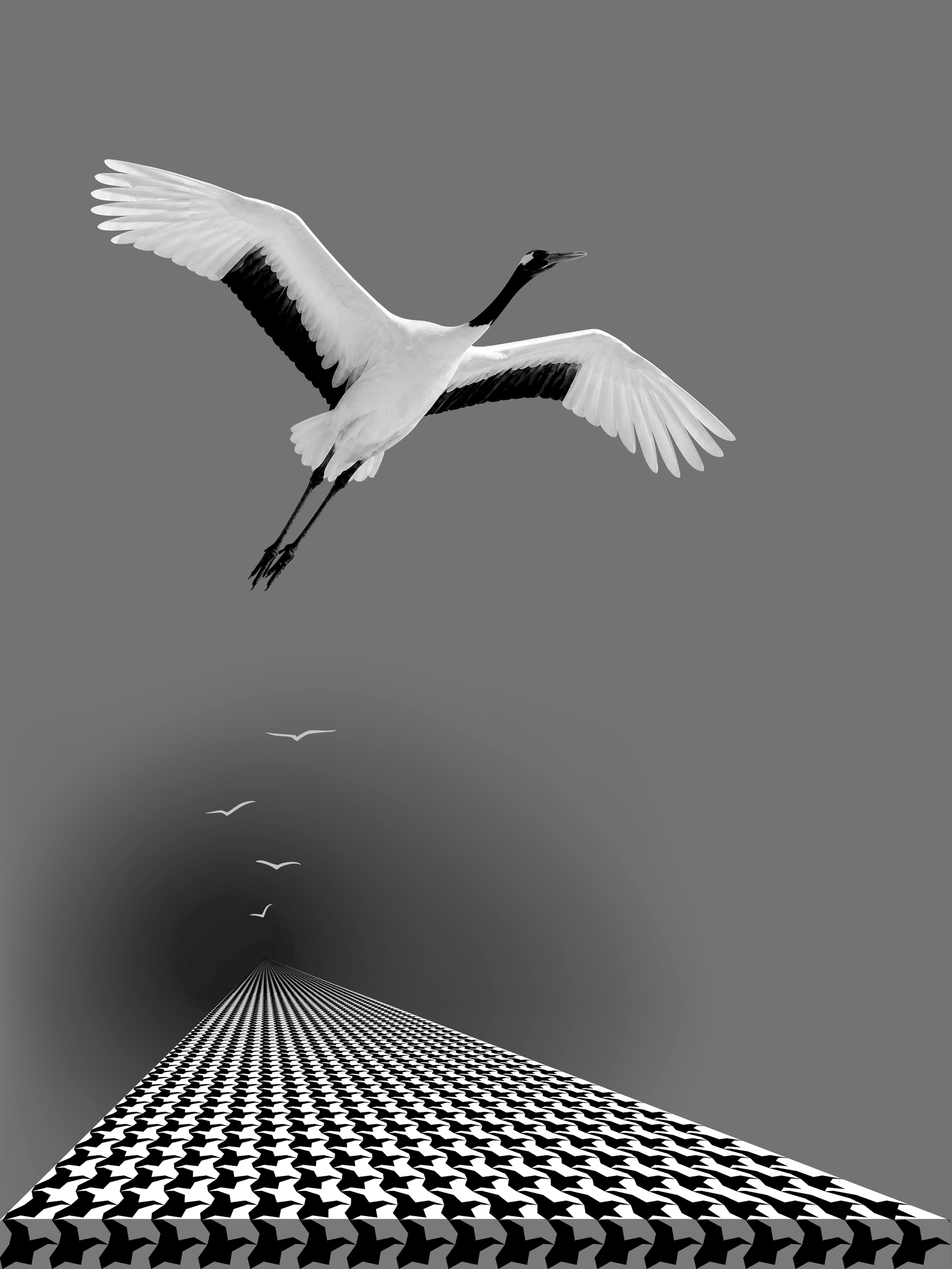 The Last Move - Anna Vital Fine Art Print.png