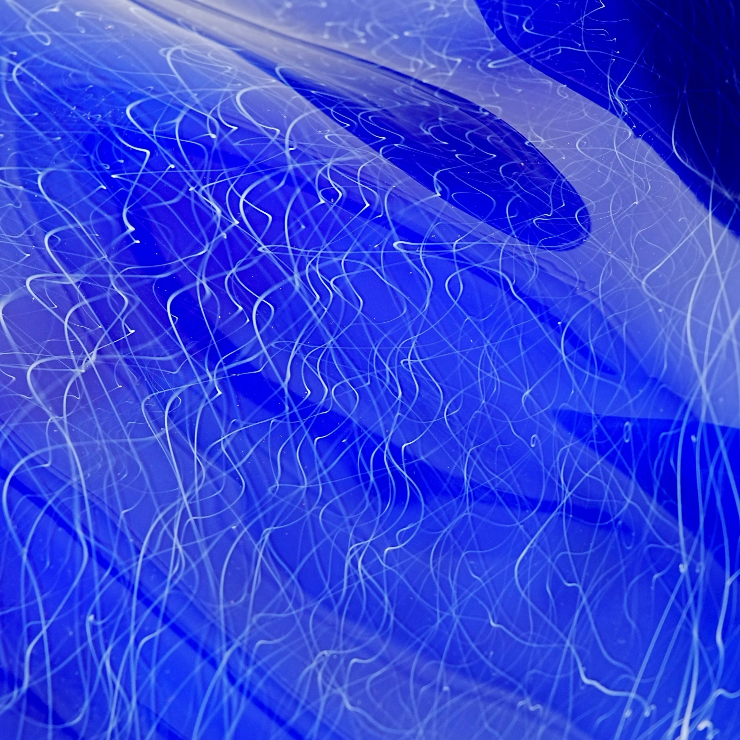 A7404225.jpg