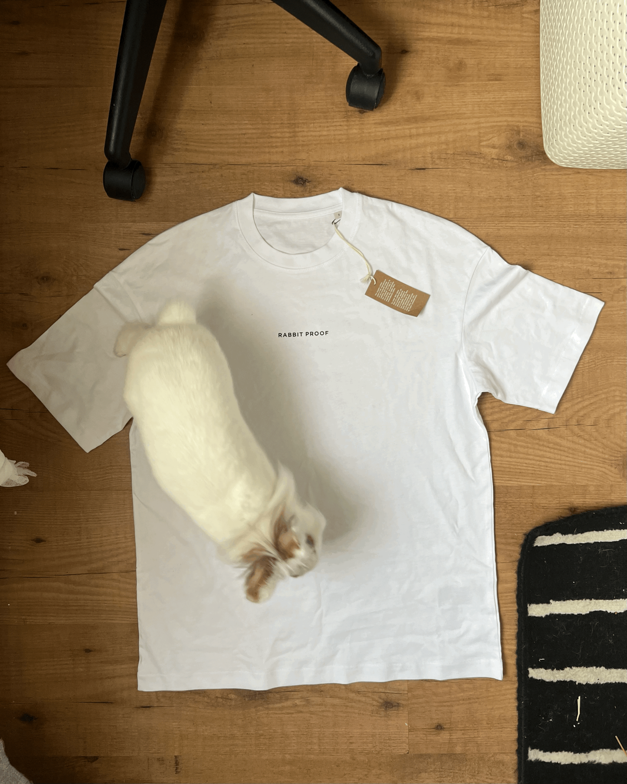 tempImagee3nCPV.gif
