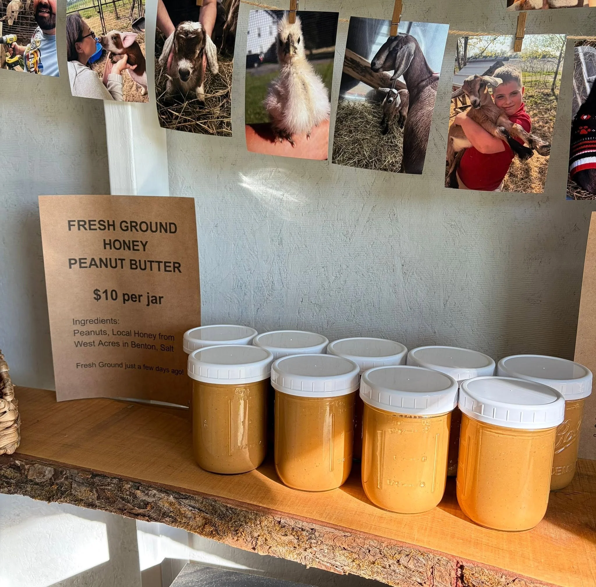 Maine couple fights for food stand freedom, and wins