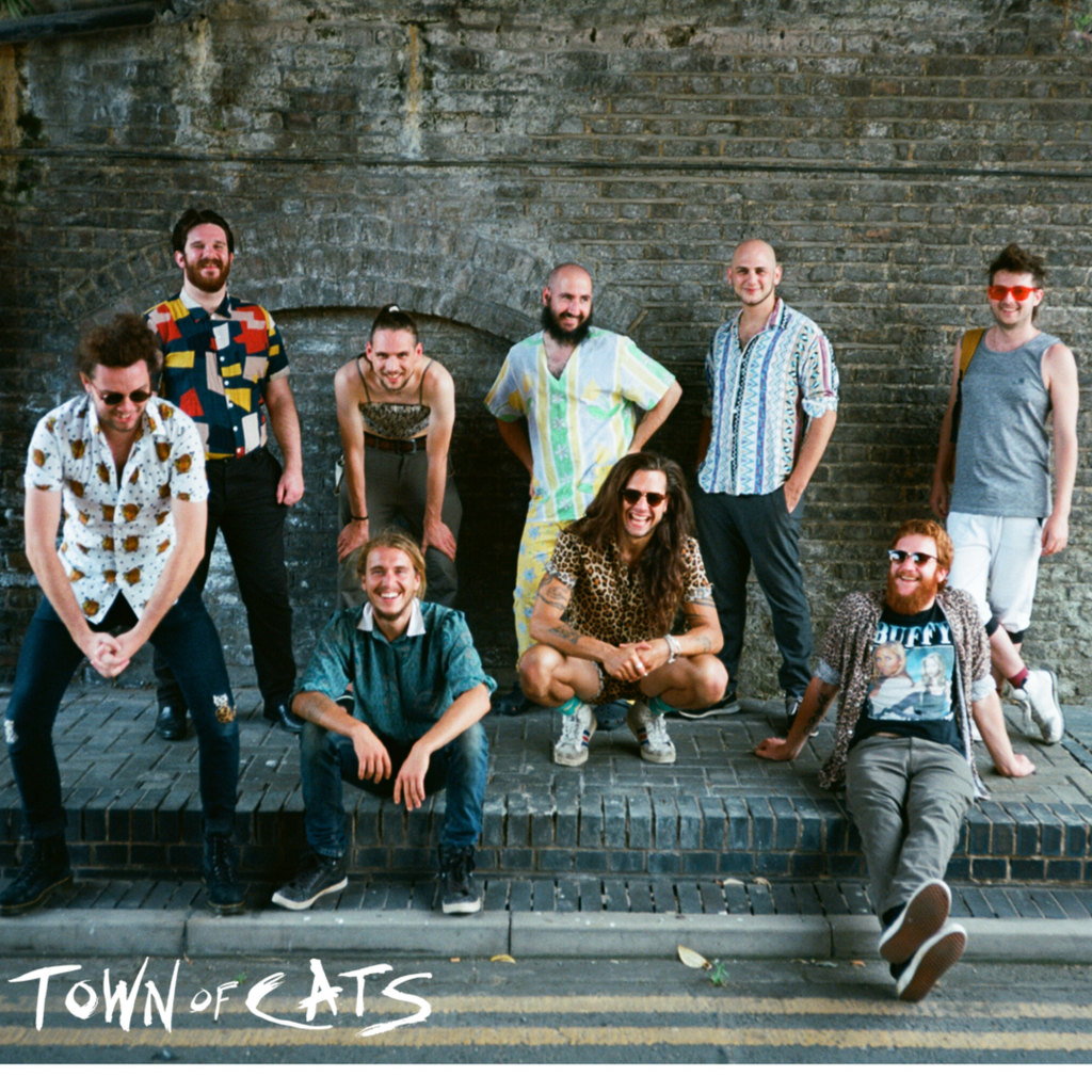 Town Of Cats
