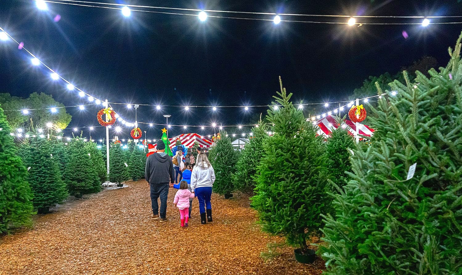 Learn More About Us — Cedar Grove Christmas Trees