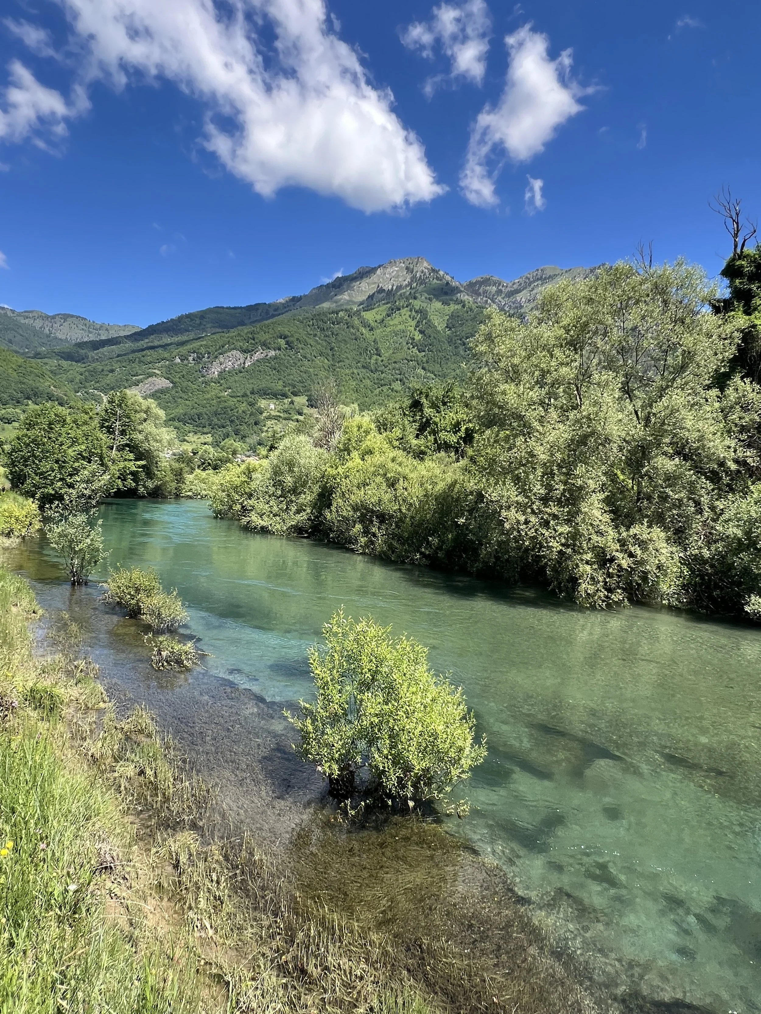IMG_4272.jpeg