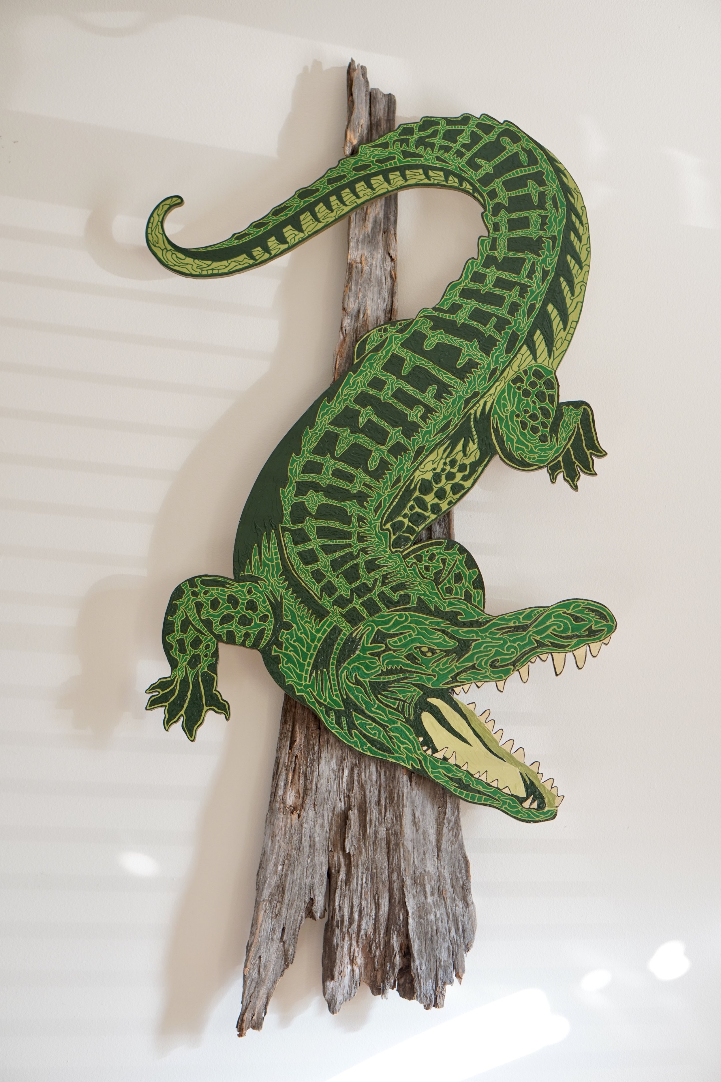 Alligator