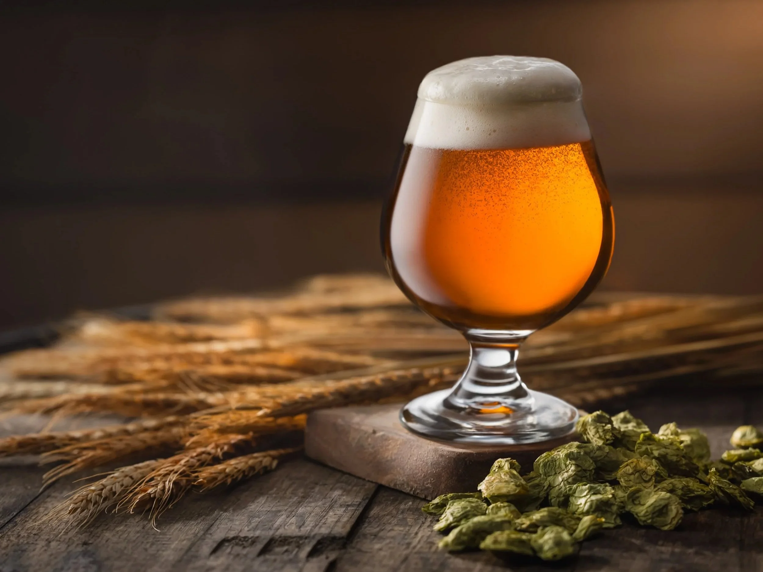 -Jeff_Rainone_Wheat+Beer+1.jpg