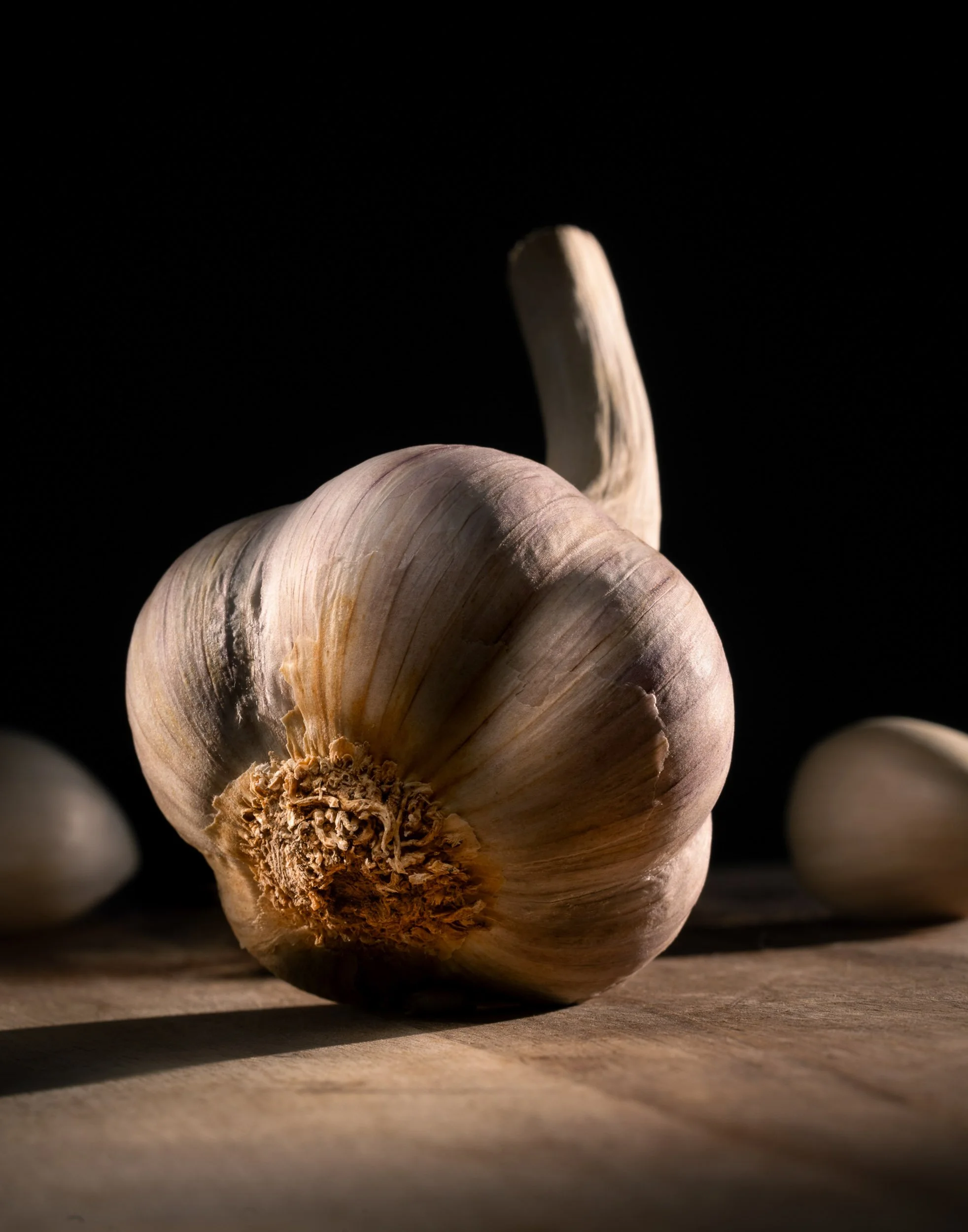 Macro garlic bulb photography, dramatic food texture shot, fine-art culinary branding, moody organic produce imagery, professional ingredient styling for cookbooks, dark low-key vegetable photography.