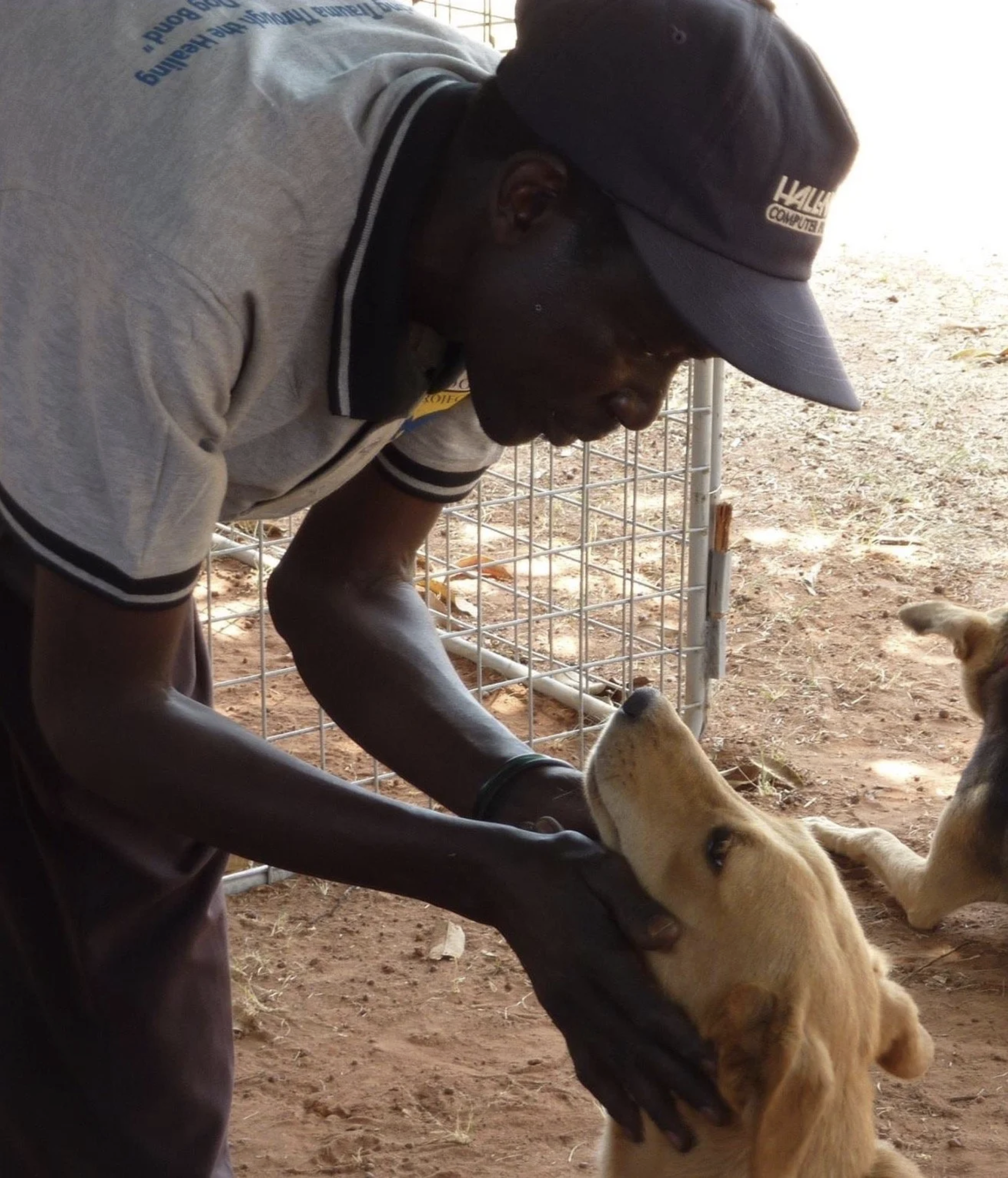 Dog Training Relieves Trauma