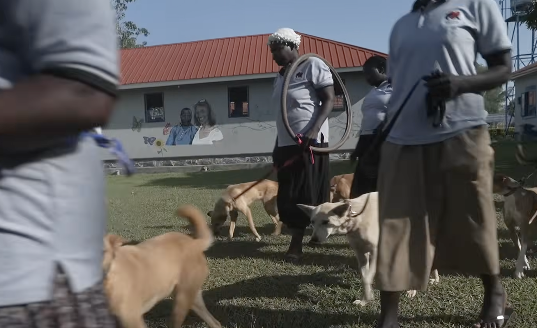 Dogs helping war trauma survivors