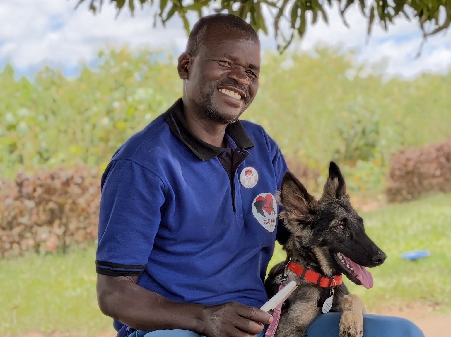 Caregiver of Dogs: Francis &amp; Tommy