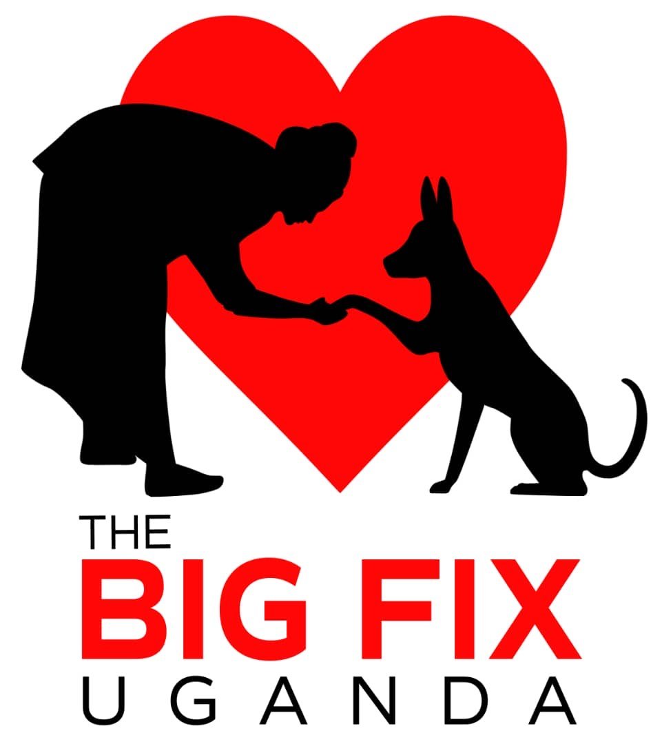 BIG FIX Logo 2022.jpg