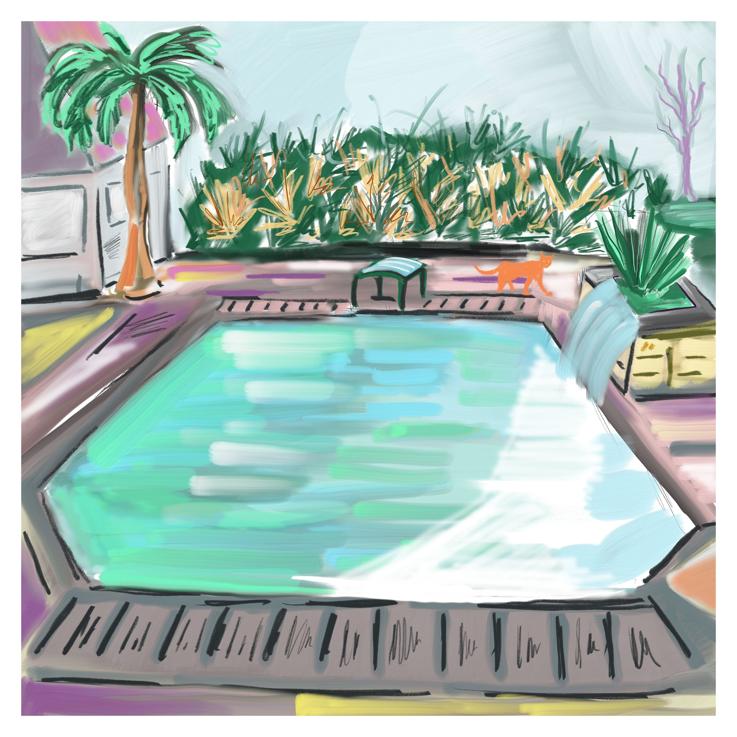 Florida 3 [Pool].jpg