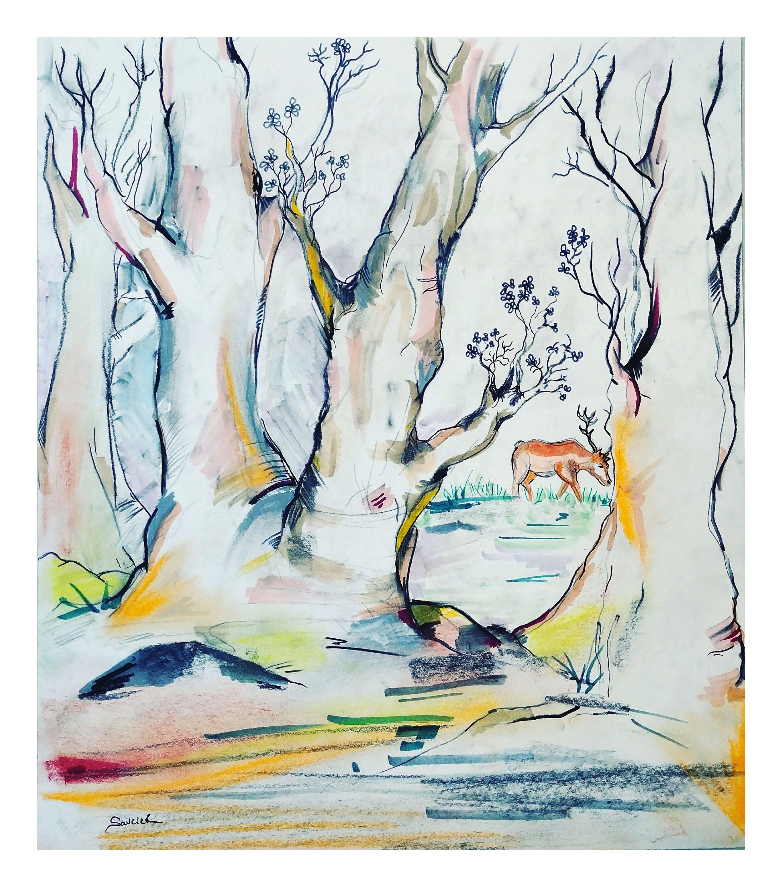 Morning-Meadow.jpg