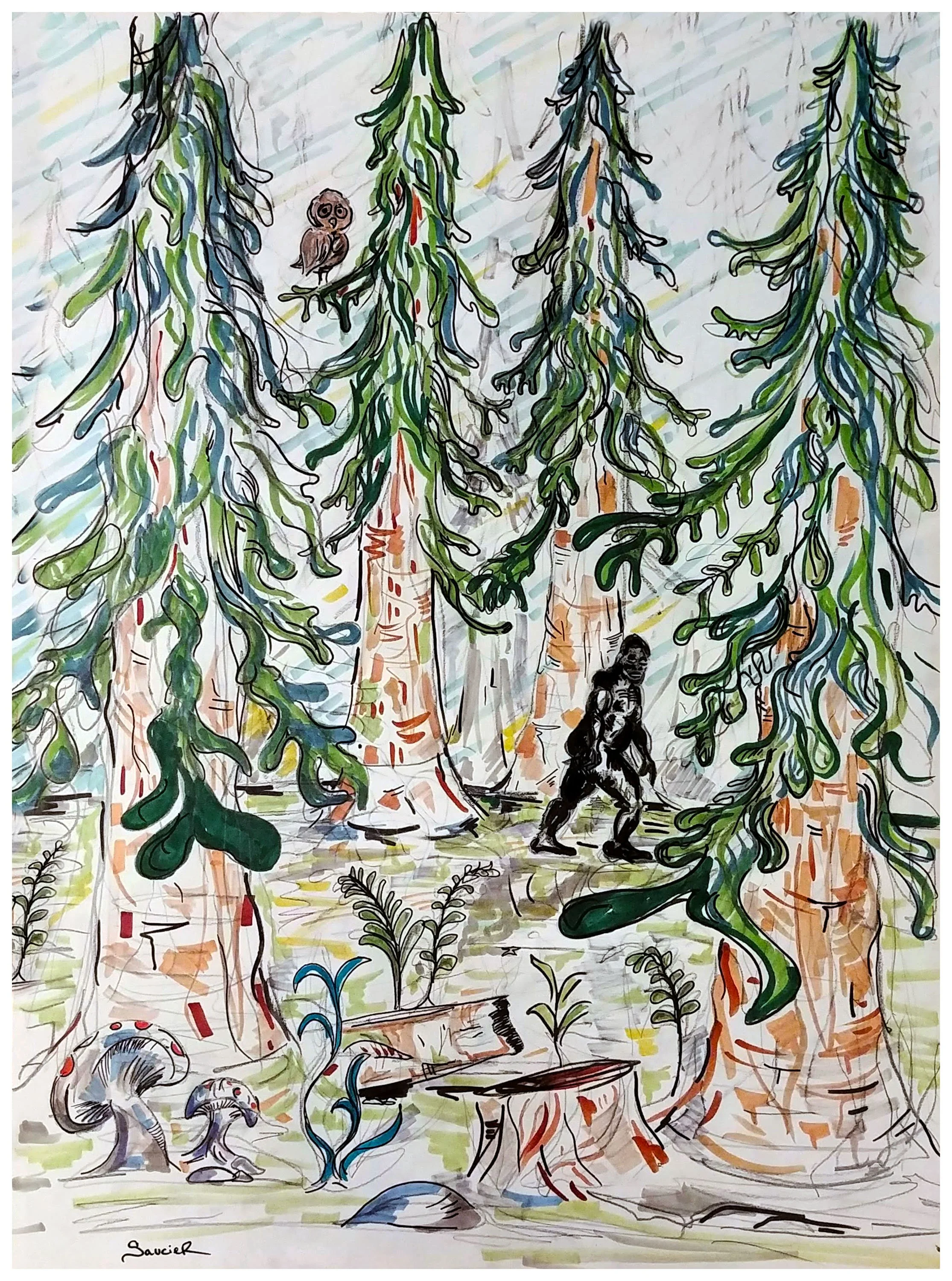 Pacific Northwest by Ben Saucier