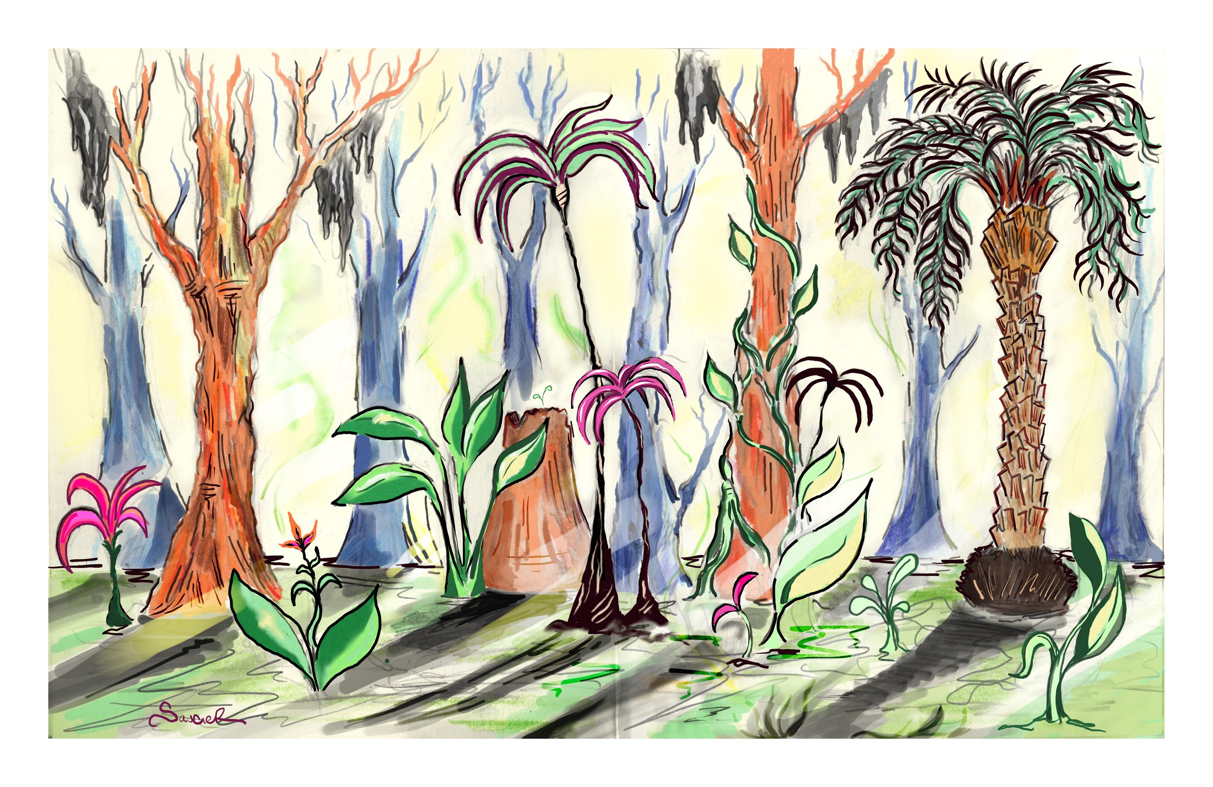 Florida Scrublands - Graphite, Colored Pencils, and Digital, 2022.