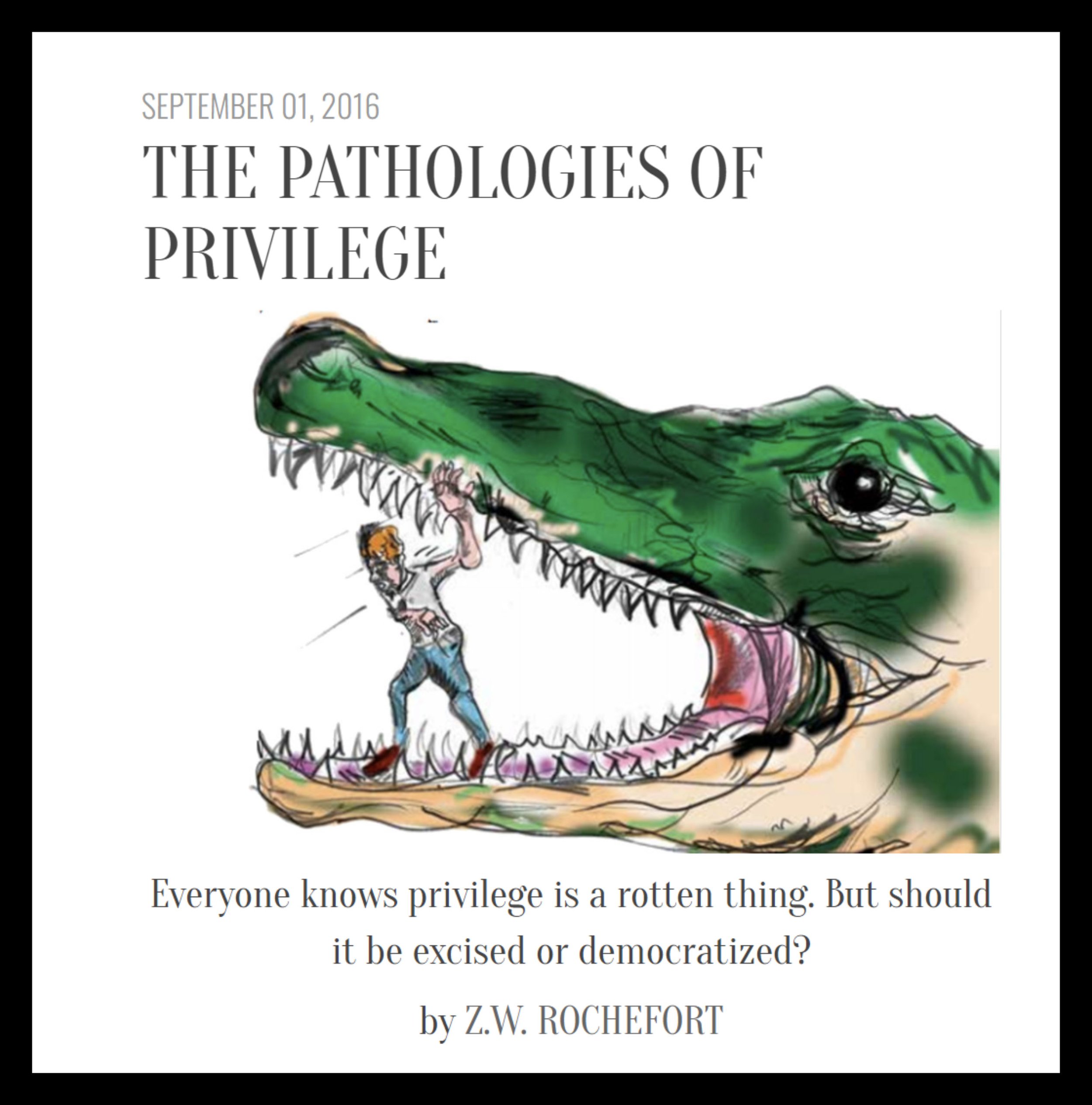 The-Pathologies-of-Privilege.jpg