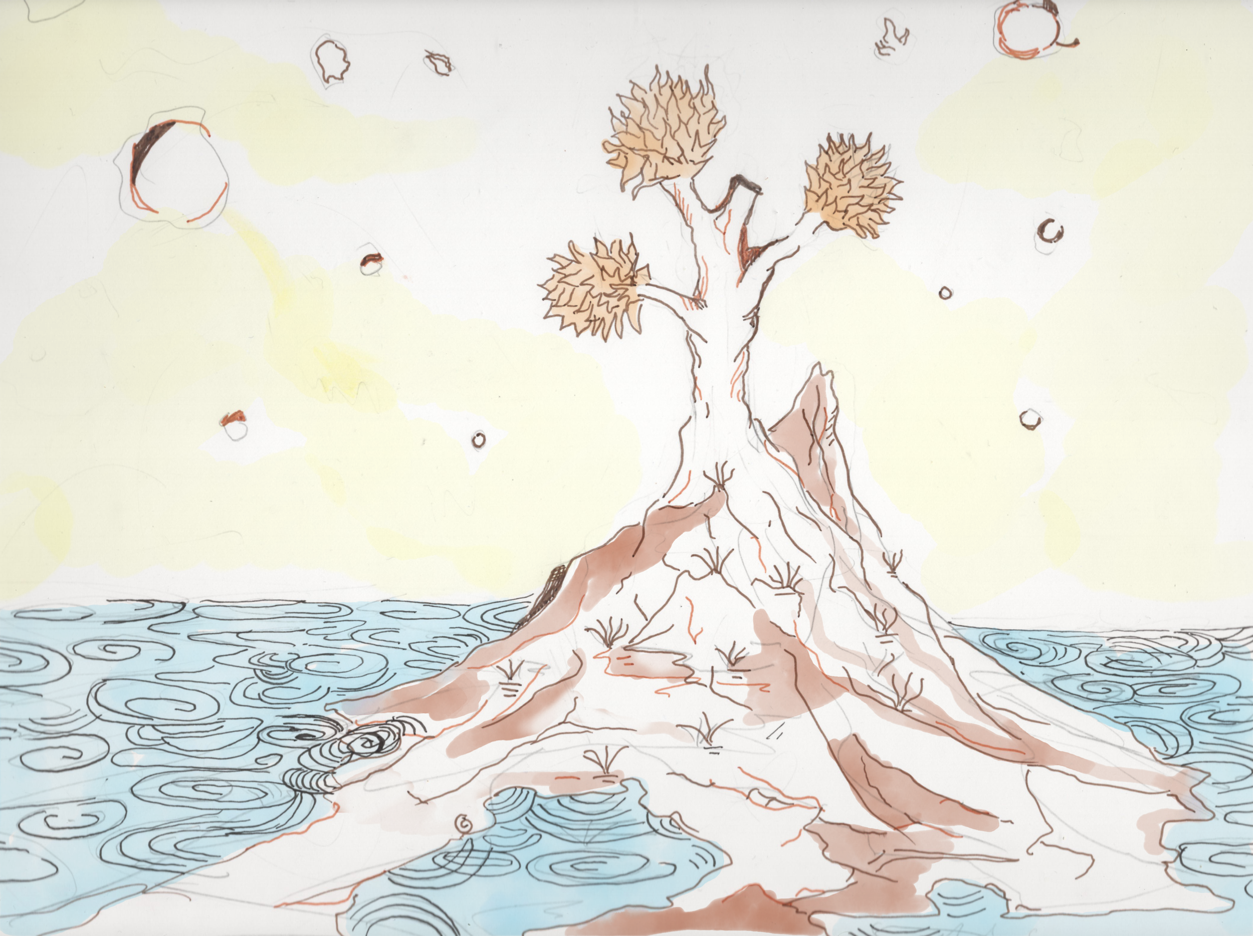 Birth.png