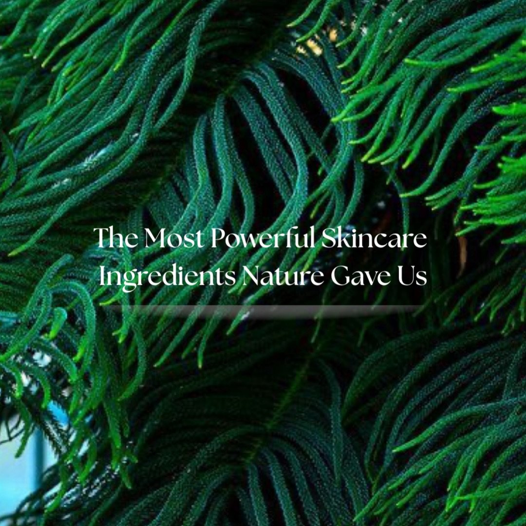 Nature gives us the most powerful skin care ingredients&mdash;when they&rsquo;re sourced with care. At Atlas Rose, we know every supplier, every farmer, every step of the journey. Sourcing matters.

Boxing Day Sale: 25% off everything
Shop: atlasrose