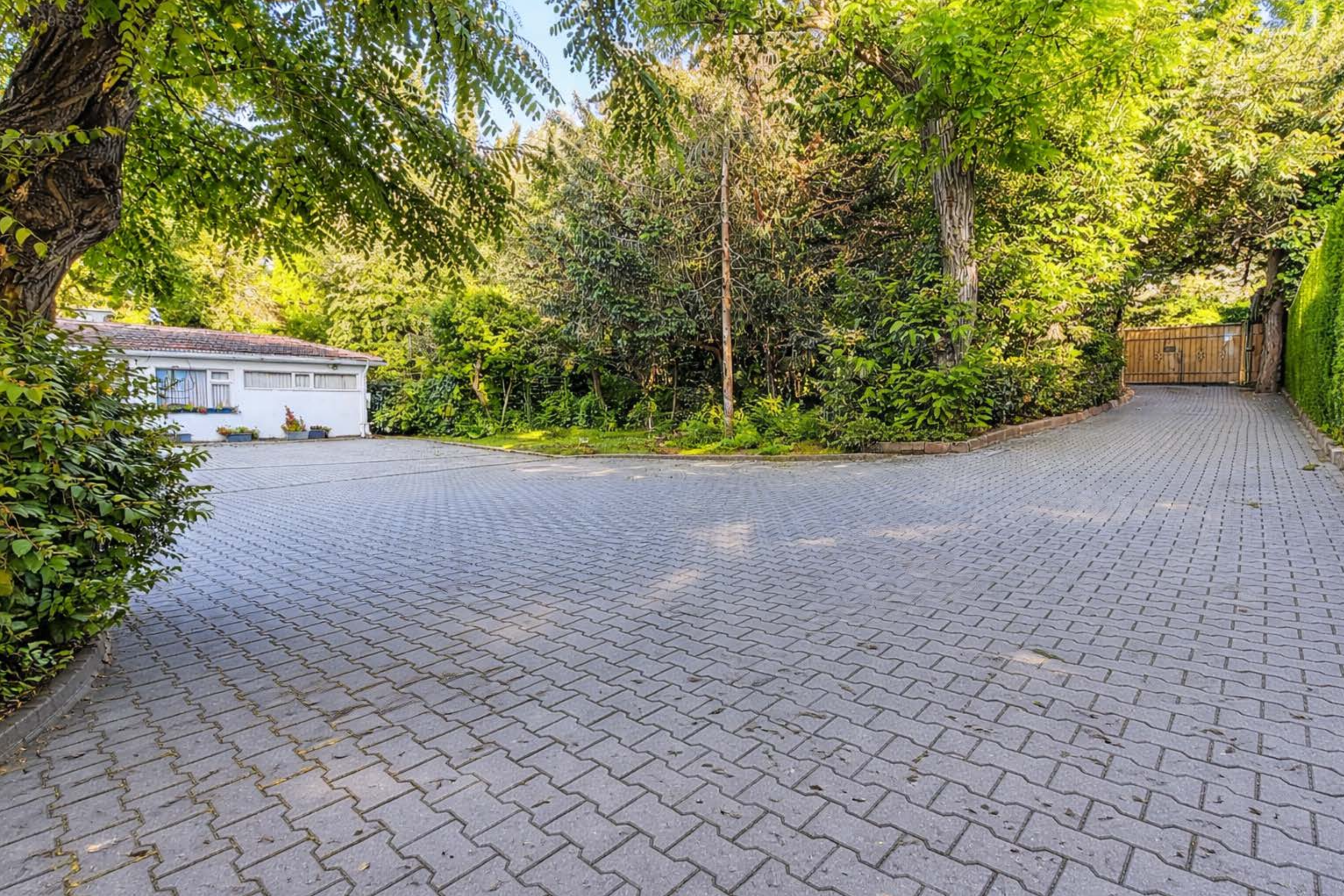 Screenshot 2026-03-03 at 8.51.41 PM.png