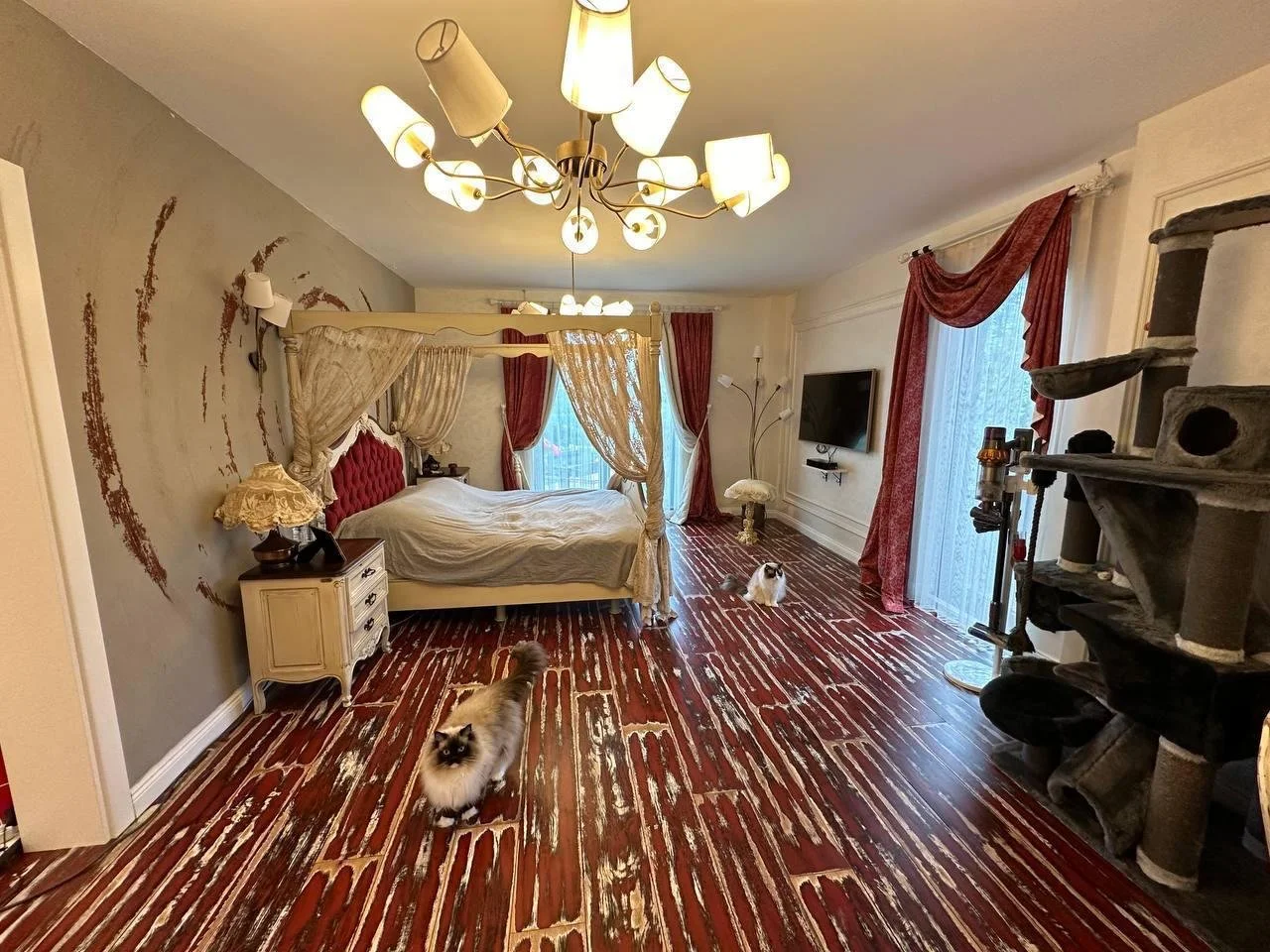 WhatsApp Image 2026-01-18 at 01.19.23 (2).jpeg