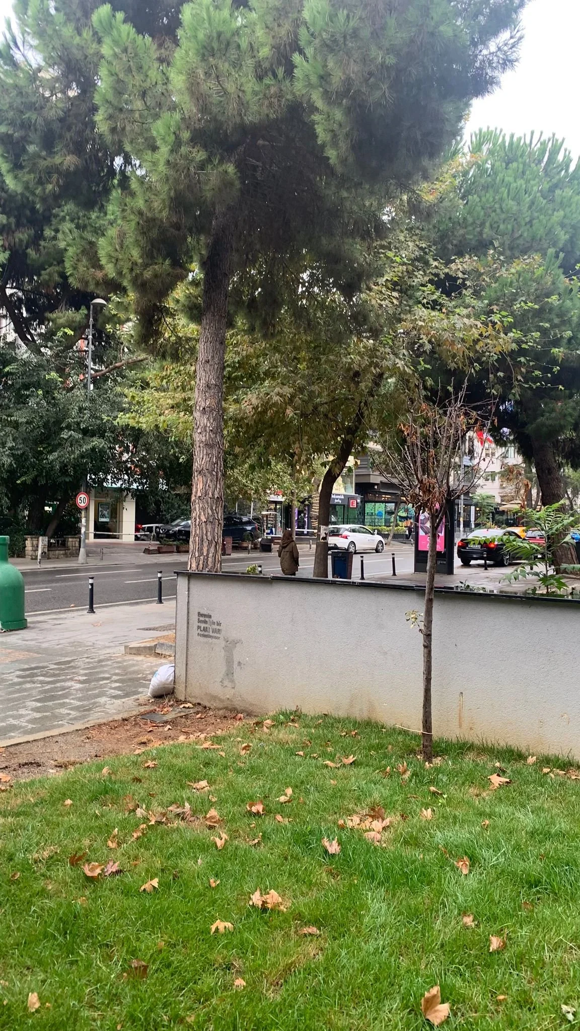 WhatsApp Image 2025-11-22 at 00.13.43 (3).jpeg