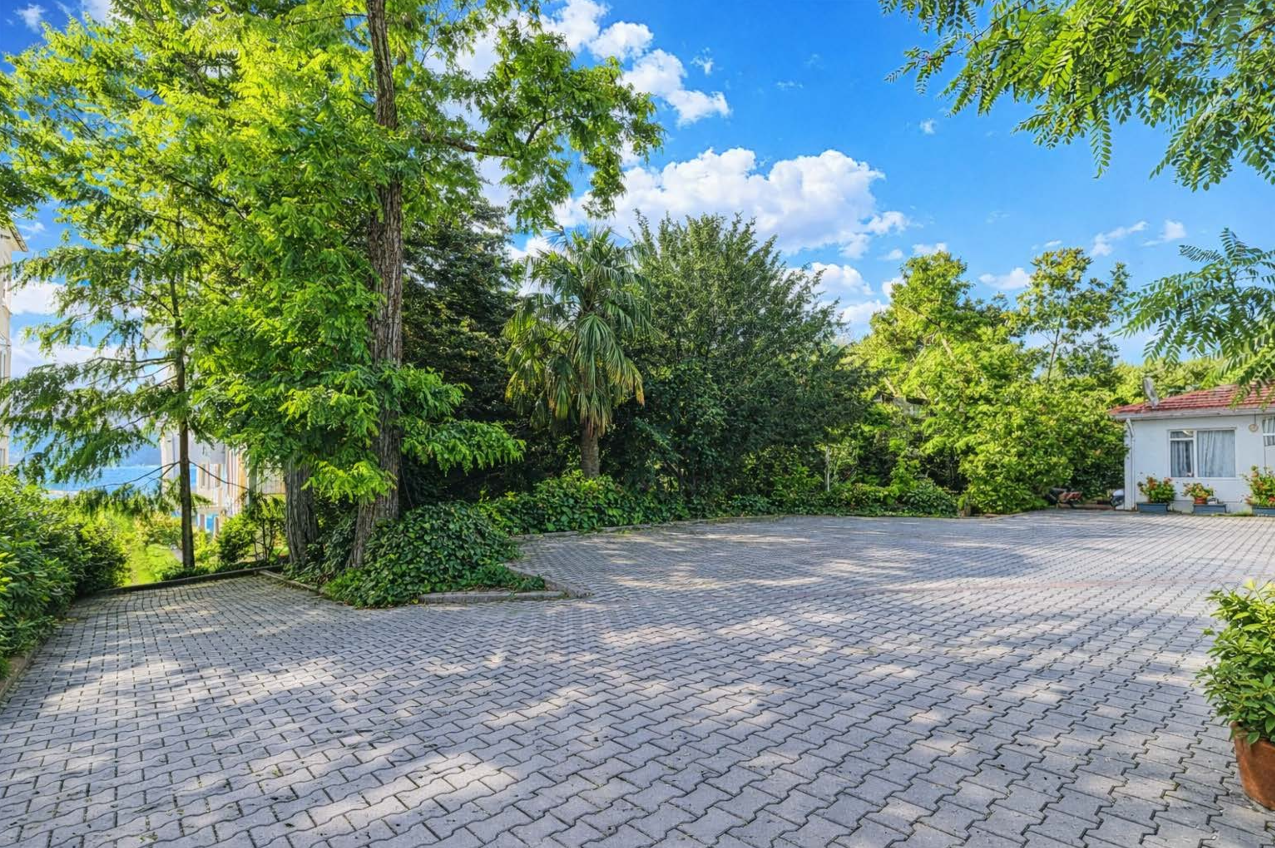 Screenshot 2026-03-03 at 8.51.31 PM.png