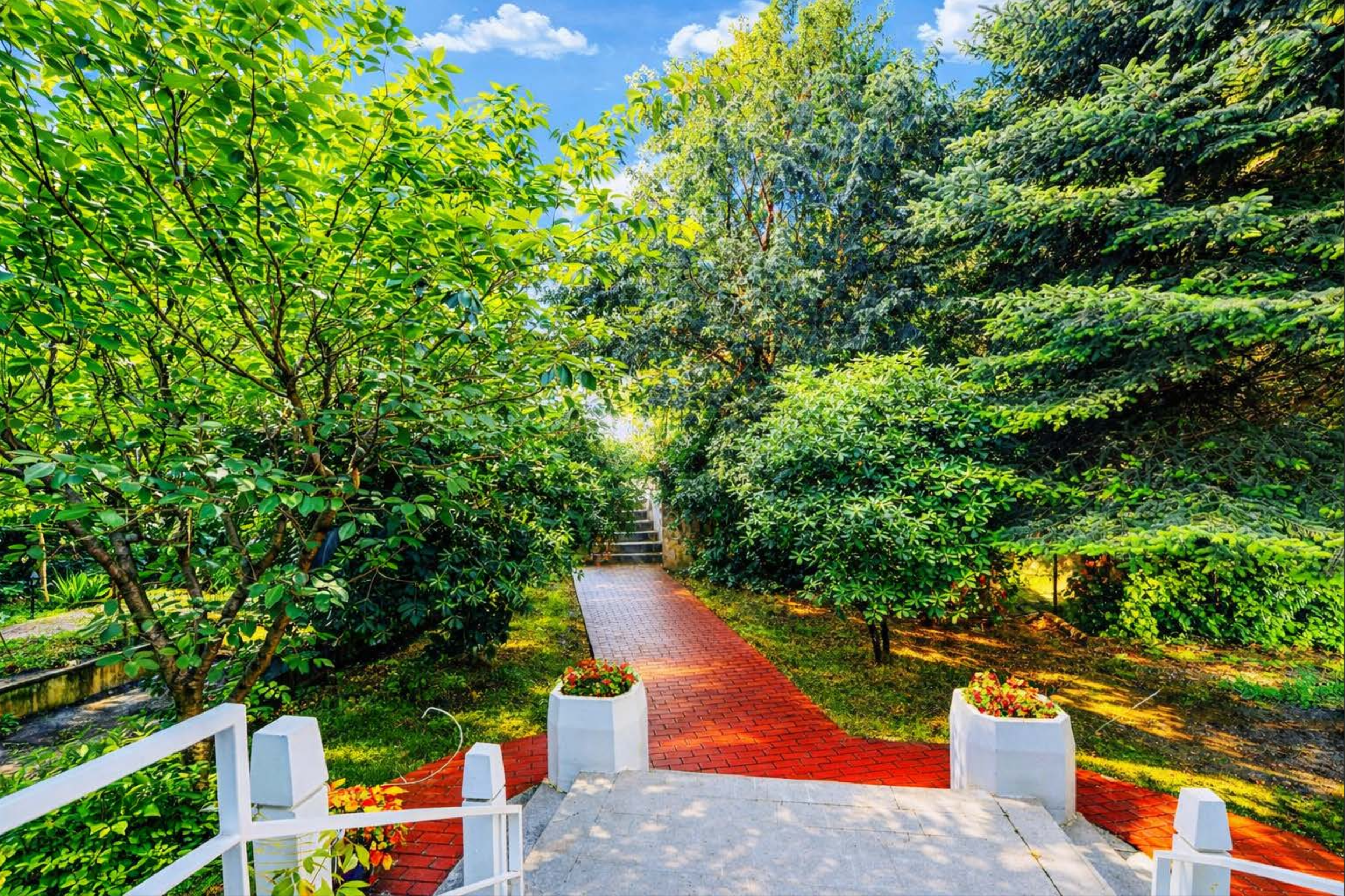 Screenshot 2026-03-03 at 8.50.38 PM.png