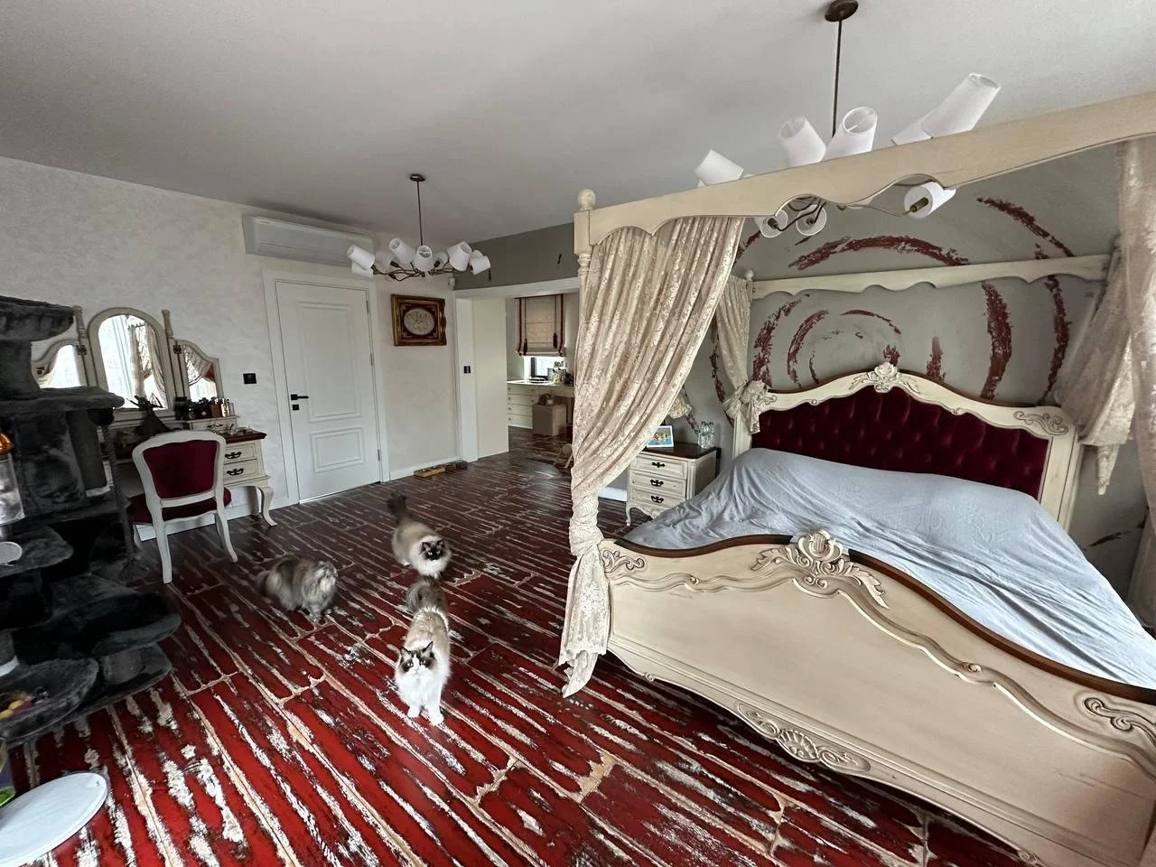 WhatsApp Image 2026-01-18 at 01.19.24 (1).jpeg