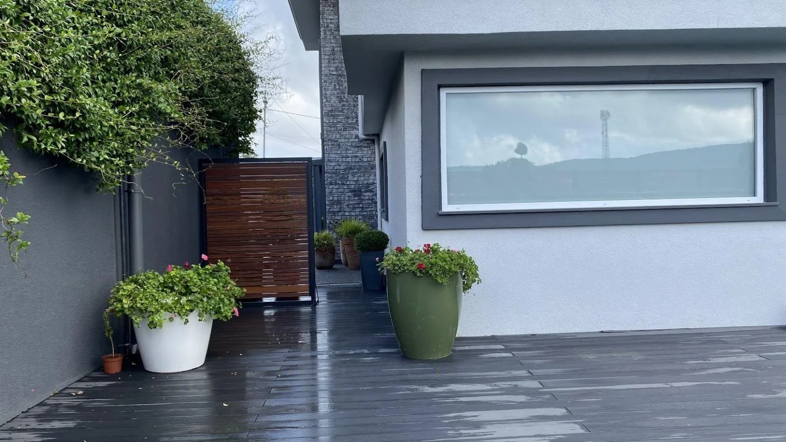 WhatsApp Image 2026-01-18 at 01.21.56 (1).jpeg