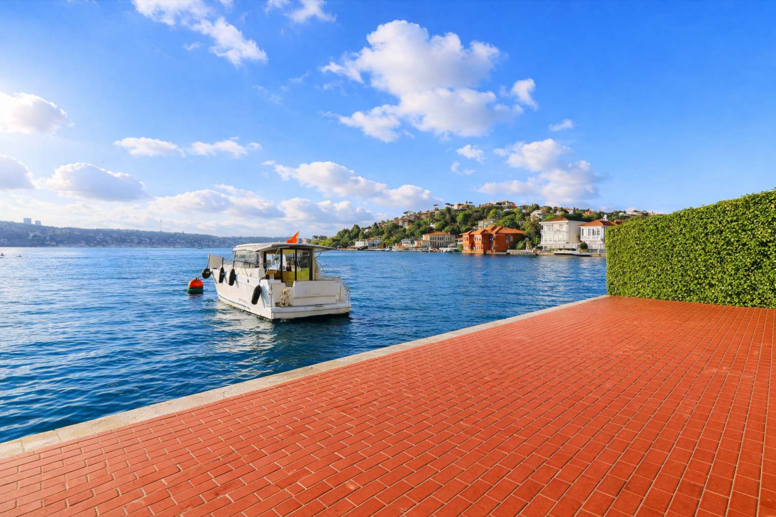 Screenshot 2026-03-03 at 8.49.19 PM.png