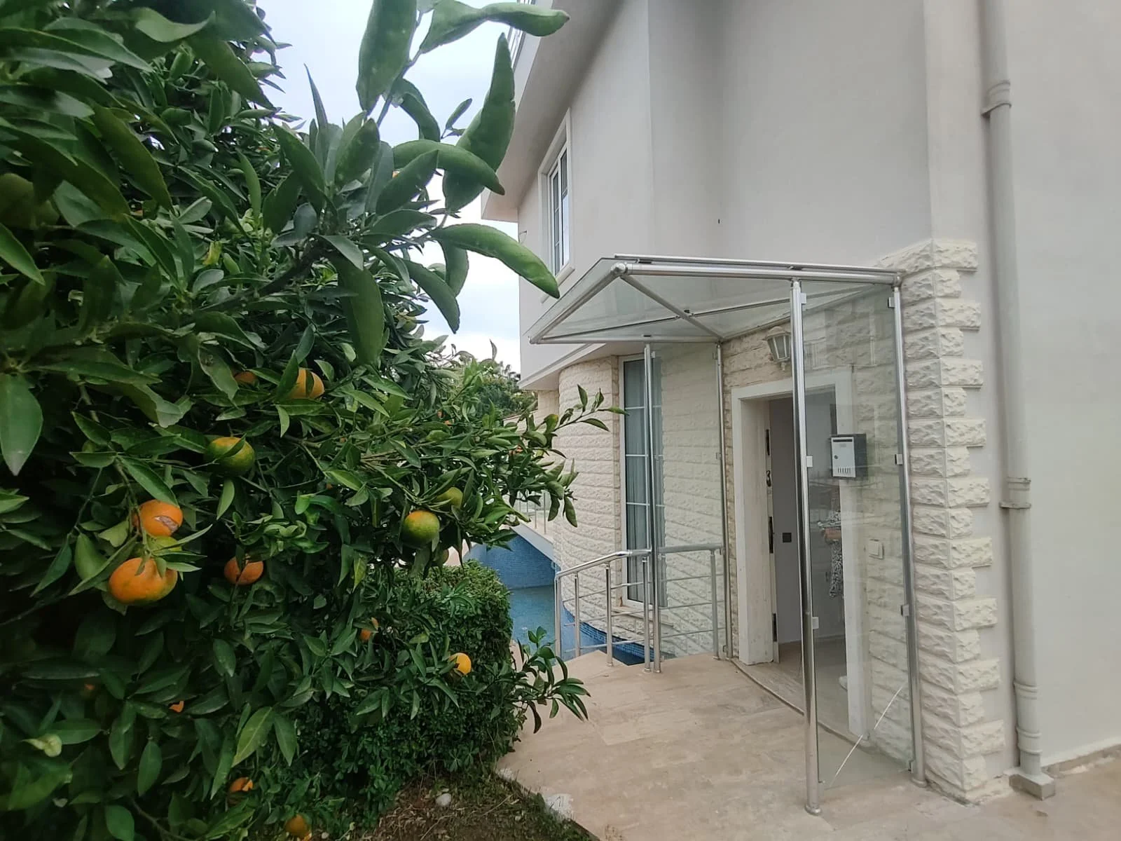 WhatsApp Image 2025-11-11 at 03.22.36.jpeg