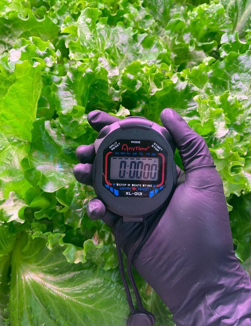 How Many Hours Does It Take To Operate A Vertical Farm Research