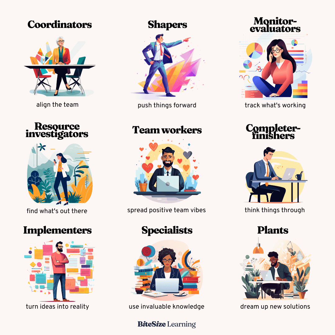 The 9 Belbin Team Roles, explained | Models for managers — BiteSize Learning