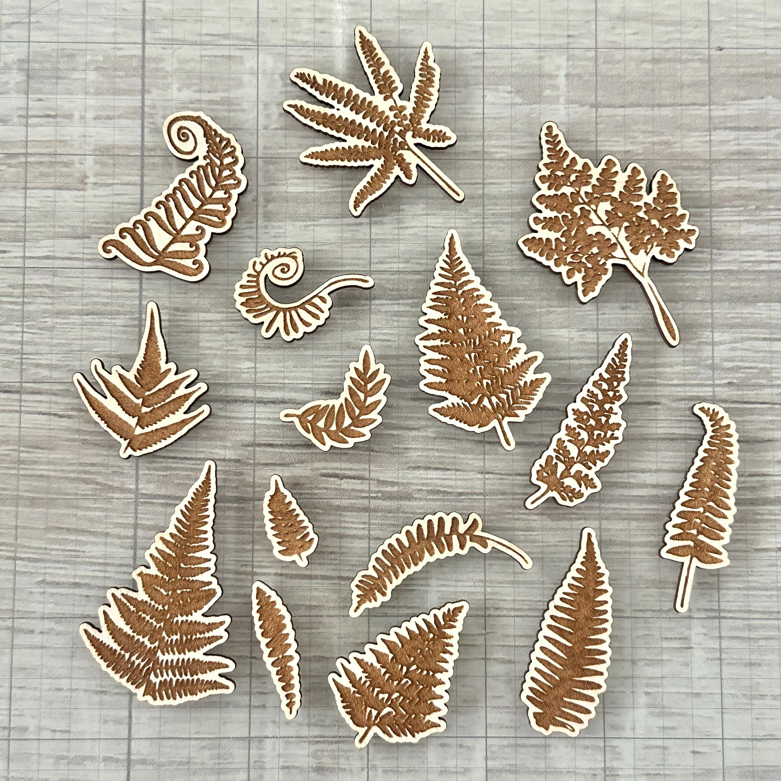 All the Ferns