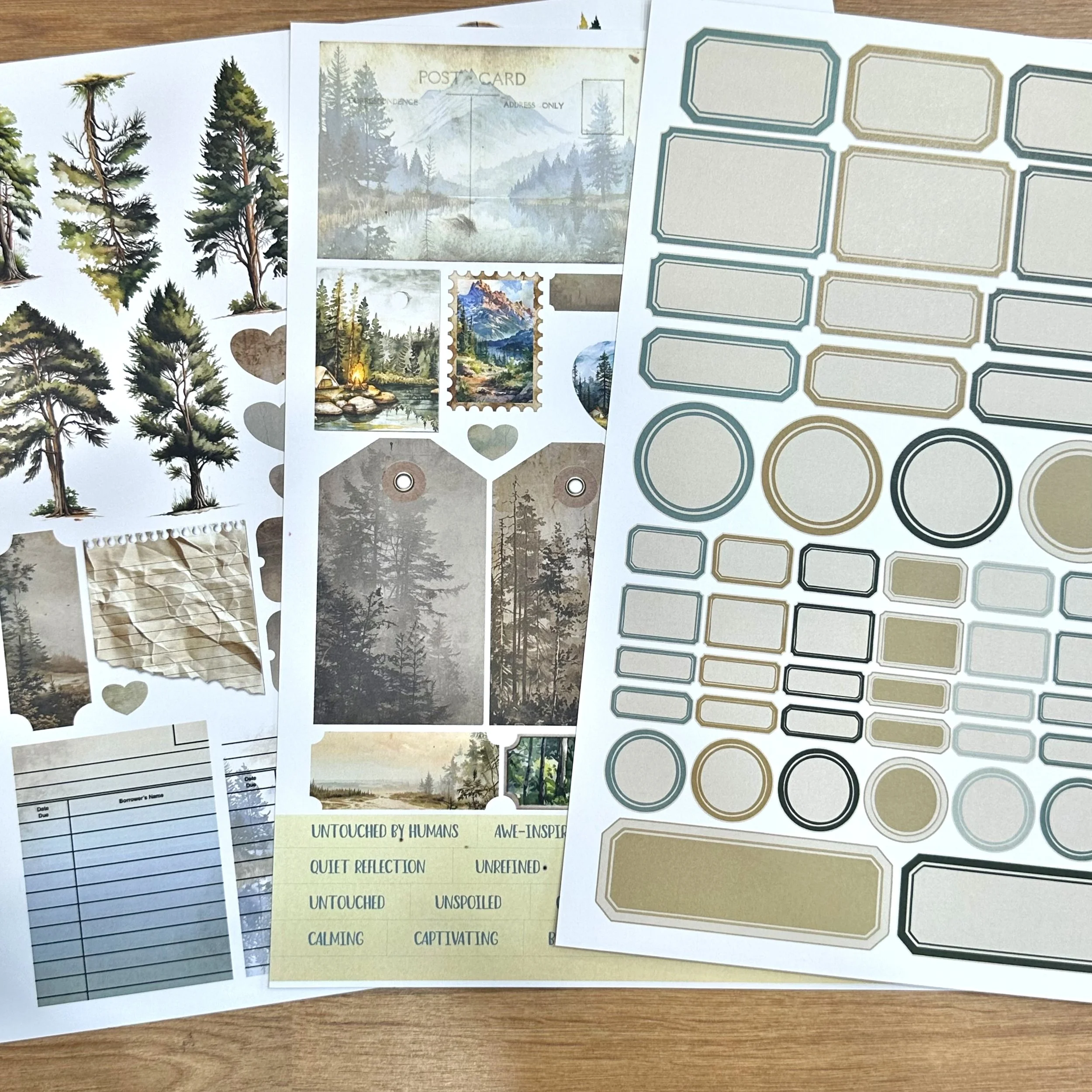 PicTapGo-2026-04-13-103057 3.JPEG