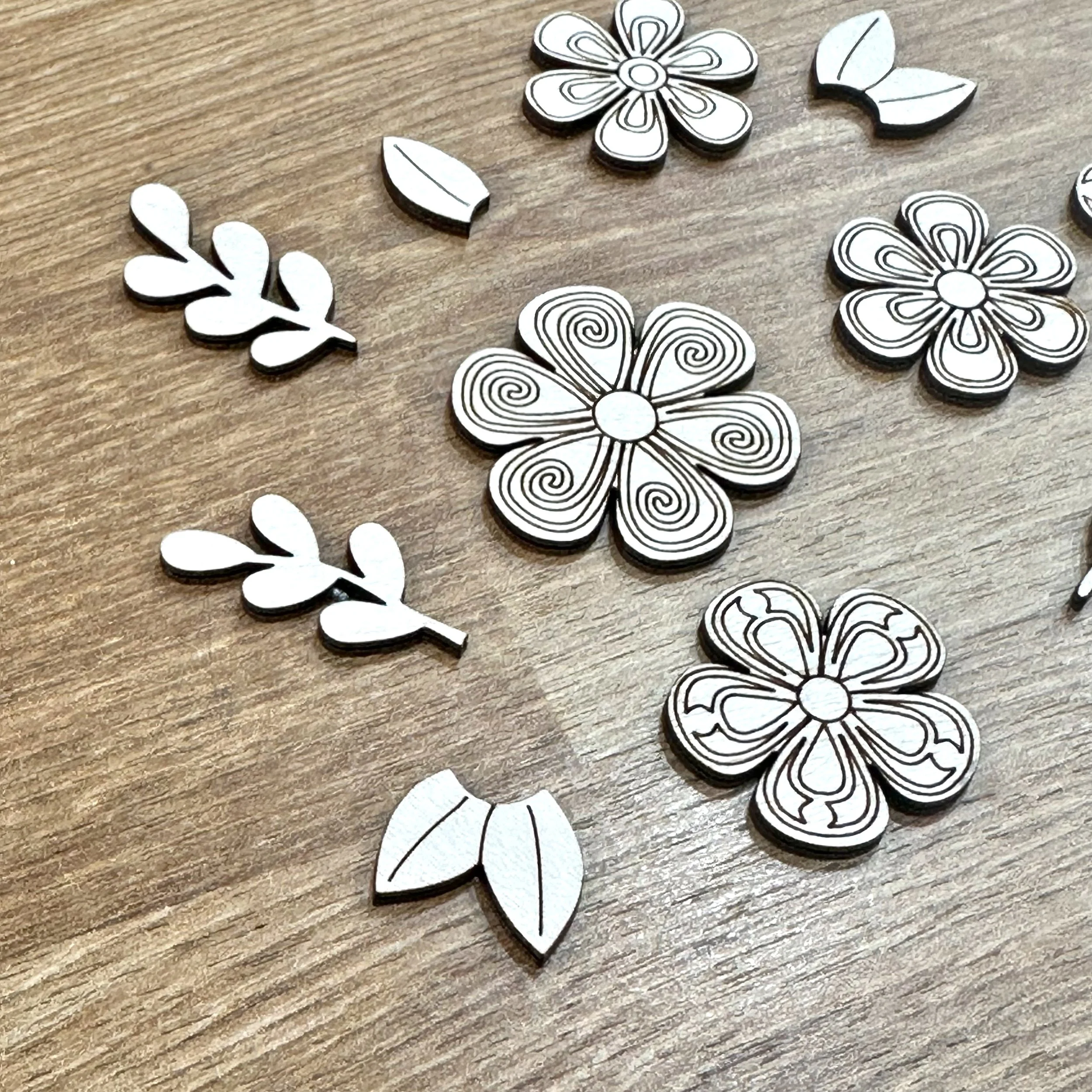 PicTapGo-2026-03-10-144524 4.JPEG