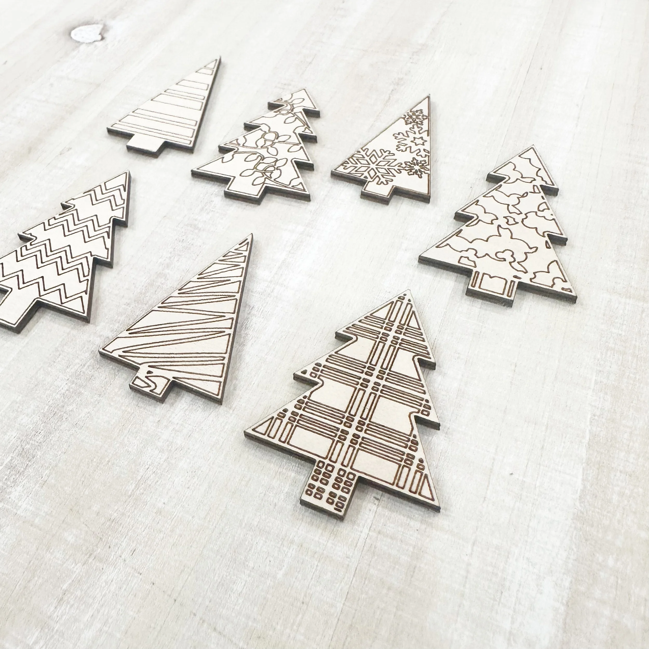 PicTapGo-2025-12-16-160646 2.JPEG