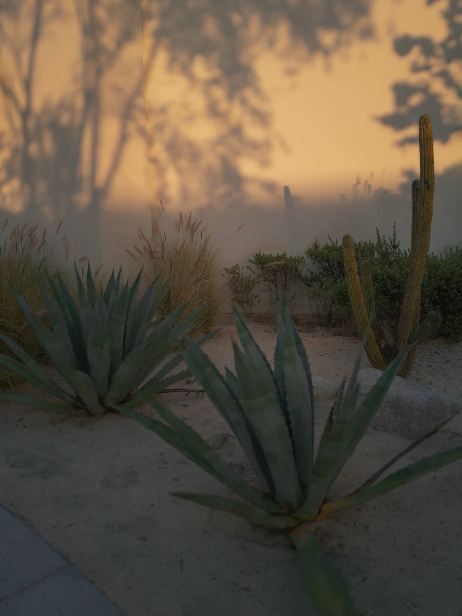 Mexico Wedding Photographer Erich McVey-26.jpg