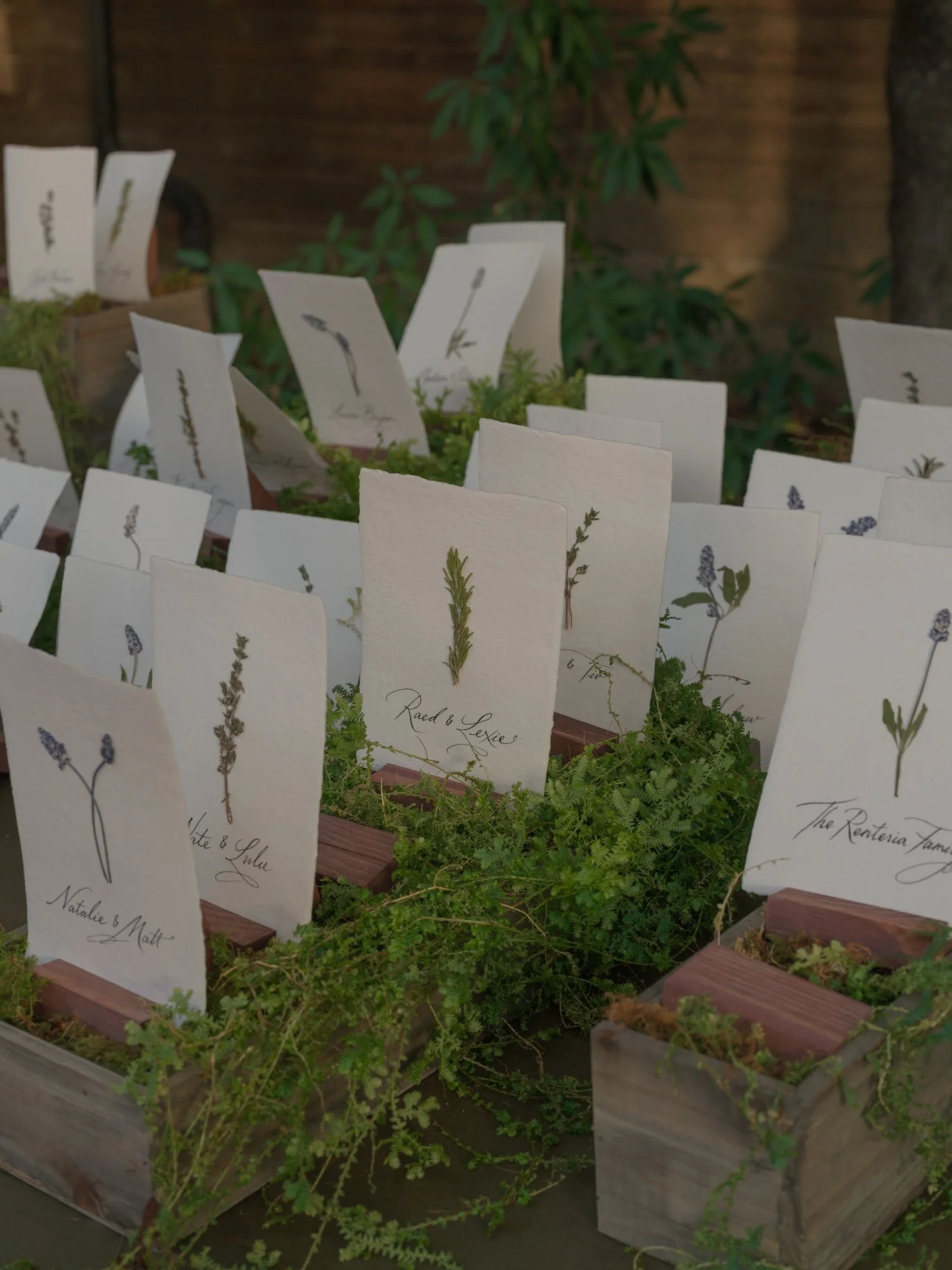 California Wedding Photographer Erich McVey-46.jpg