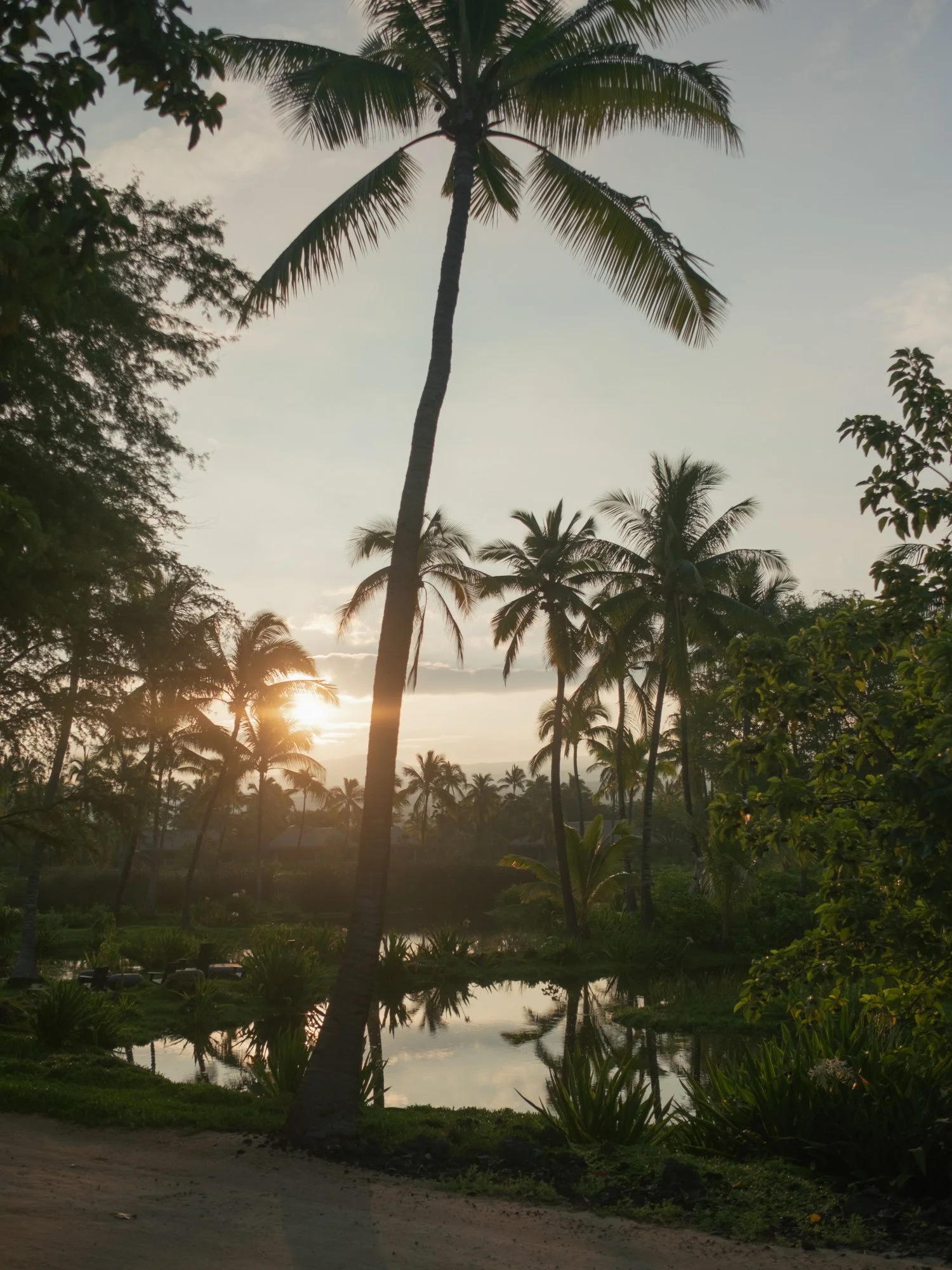 HAwaii Wedding Photography by Erich McVey-69.jpg