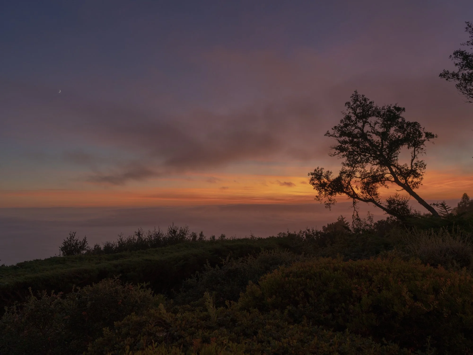 California Wedding Photographer Erich McVey-68.jpg