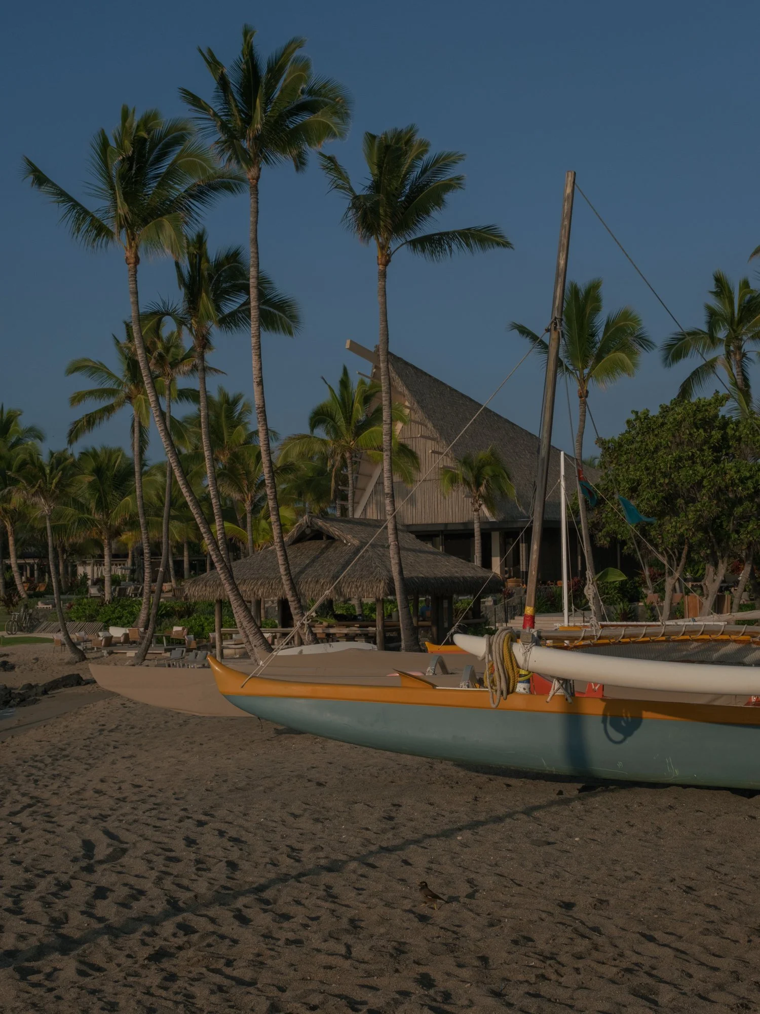 HAwaii Wedding Photography by Erich McVey-23.jpg