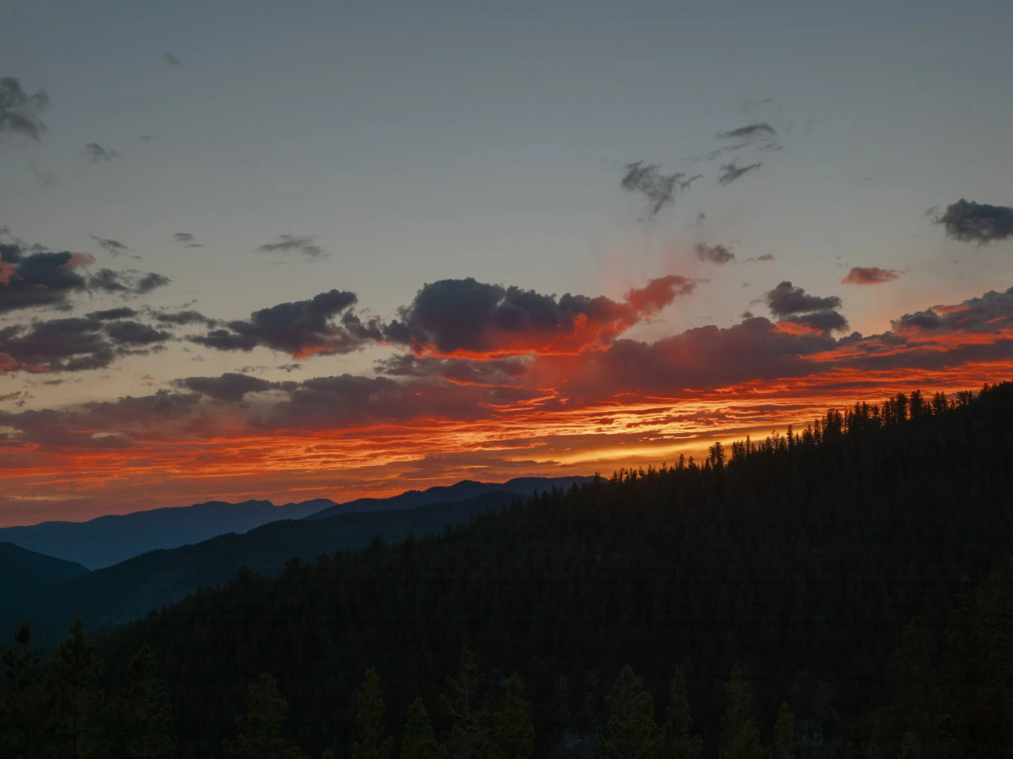 Montana Wedding Photographer Erich McVey-82.jpg
