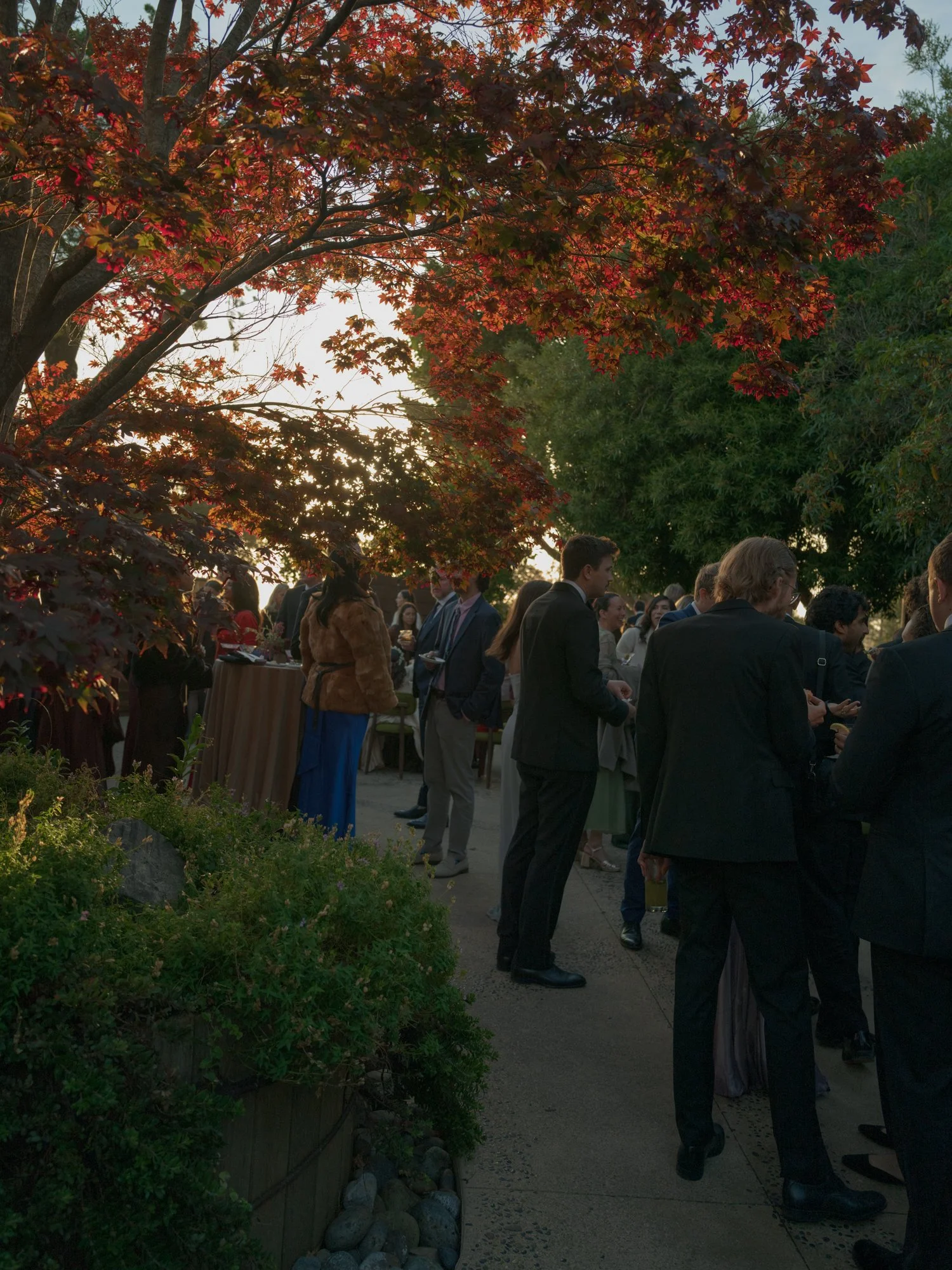 California Wedding Photographer Erich McVey-36.jpg