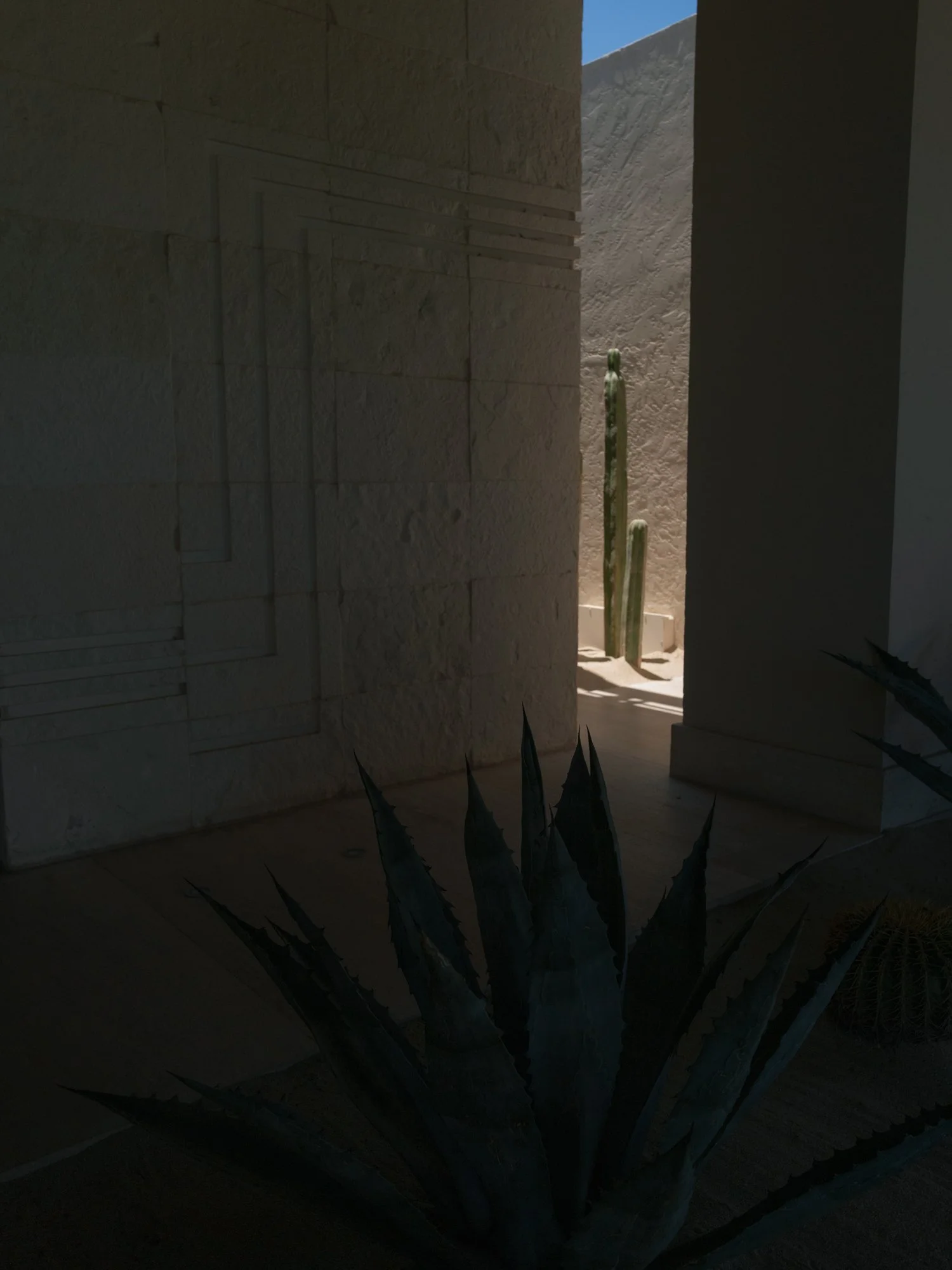 Mexico Wedding Photographer Erich McVey-1.jpg