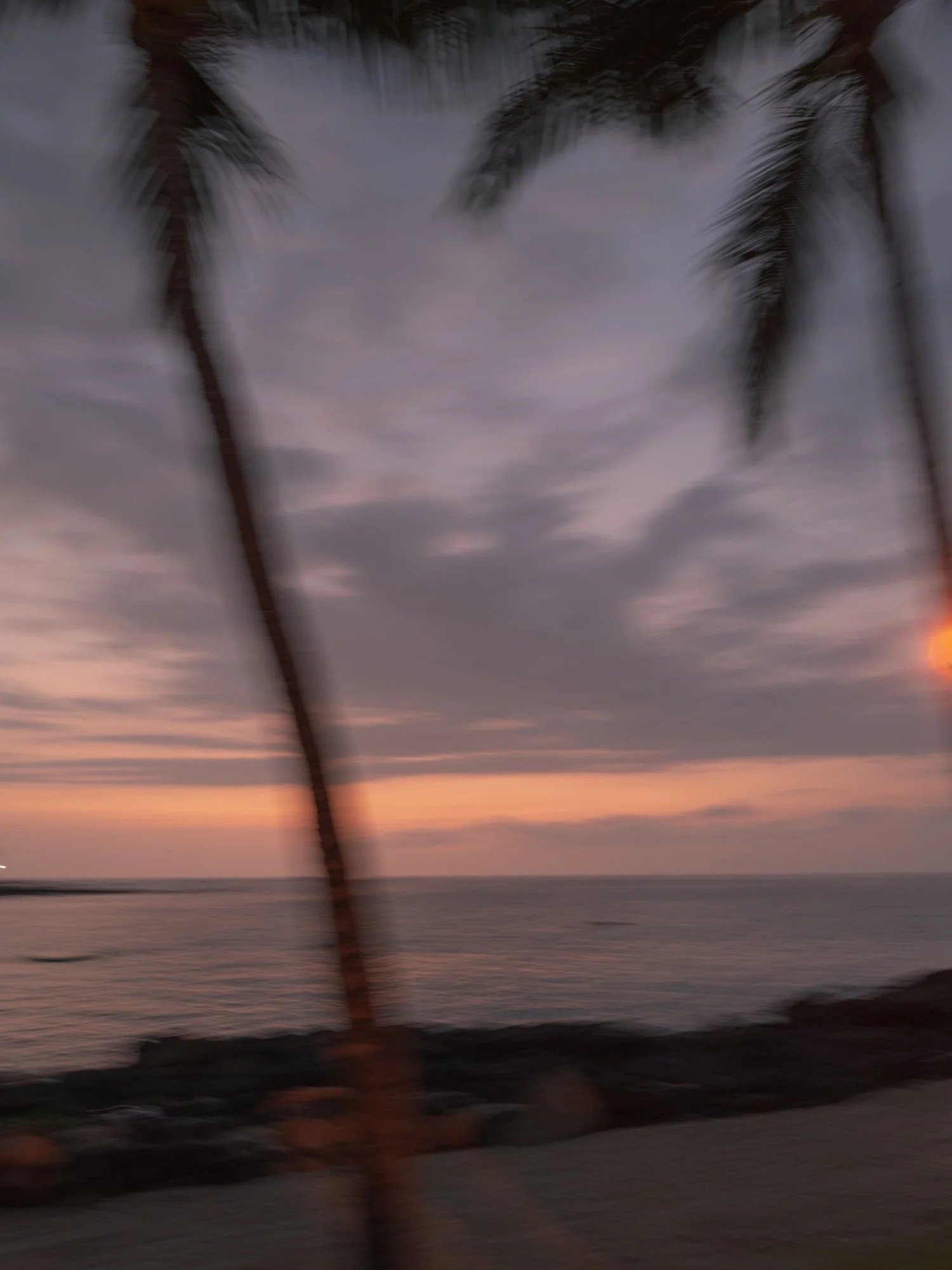 HAwaii Wedding Photography by Erich McVey-81.jpg