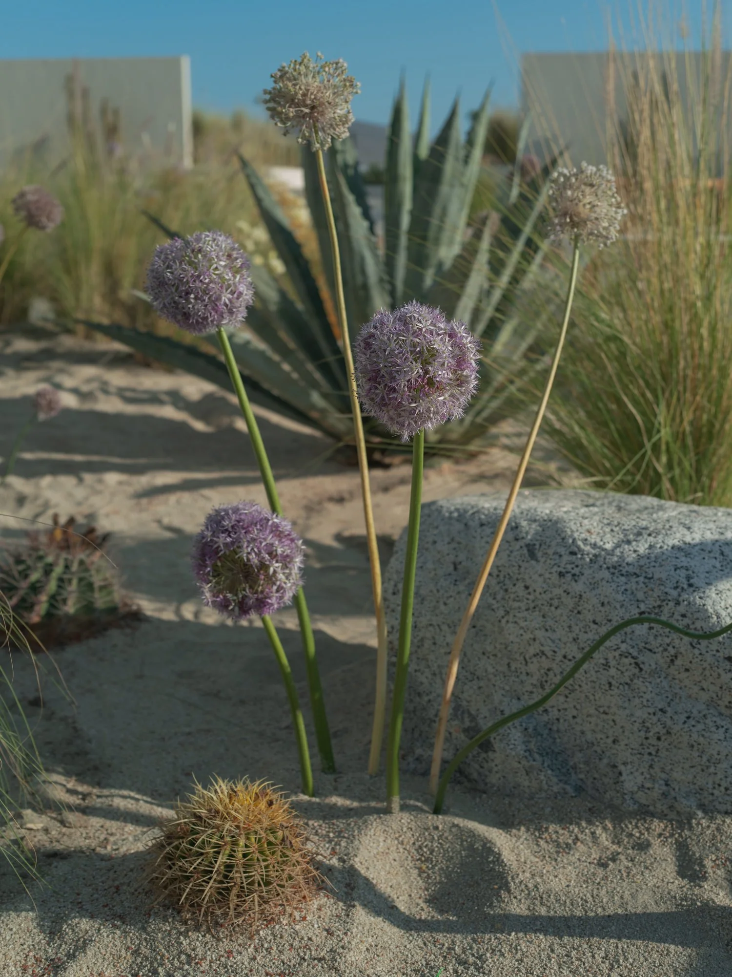 Mexico Wedding Photographer Erich McVey-67.jpg